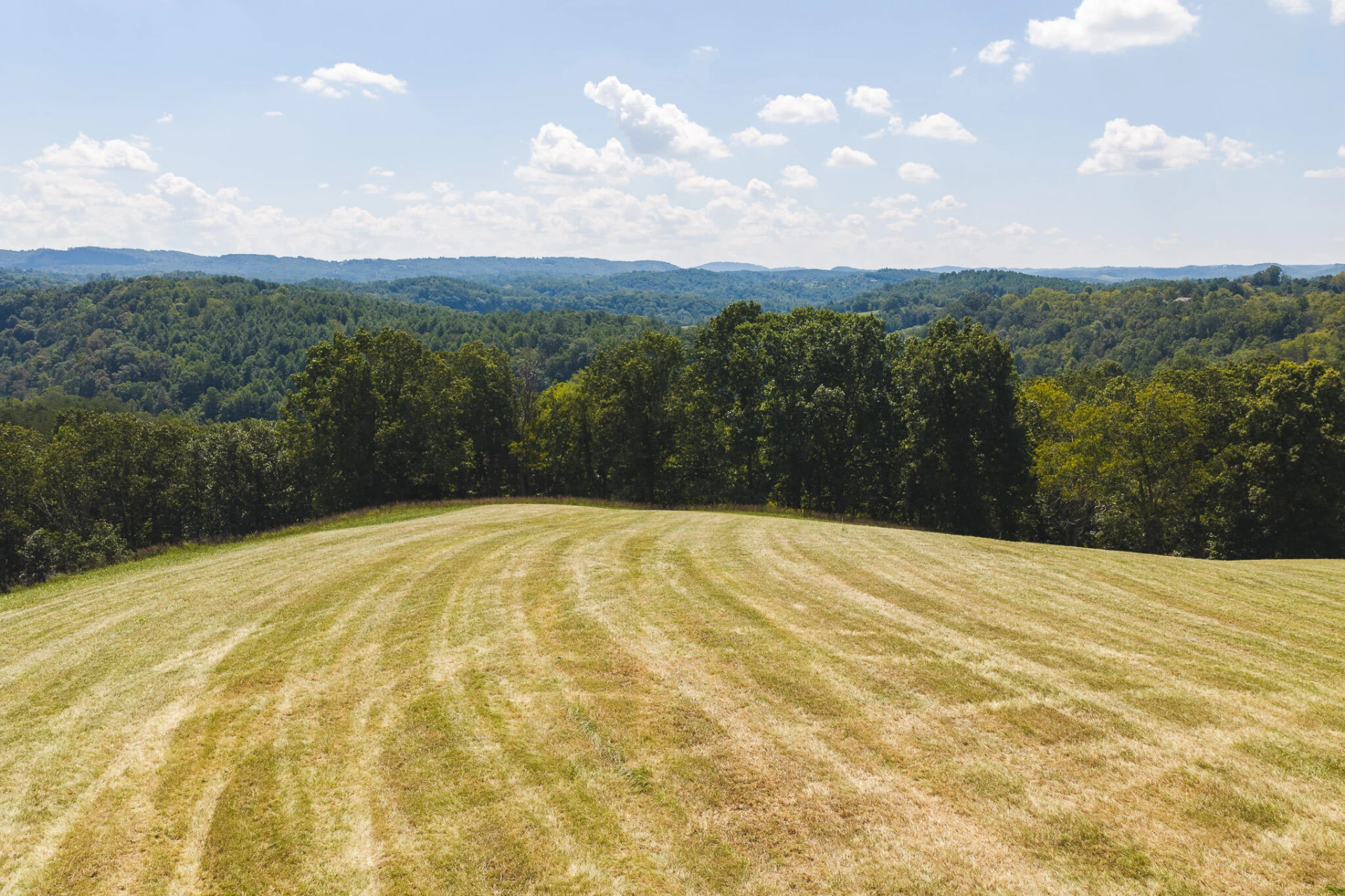 5902 Chestnut Ridge RD - Photo 11