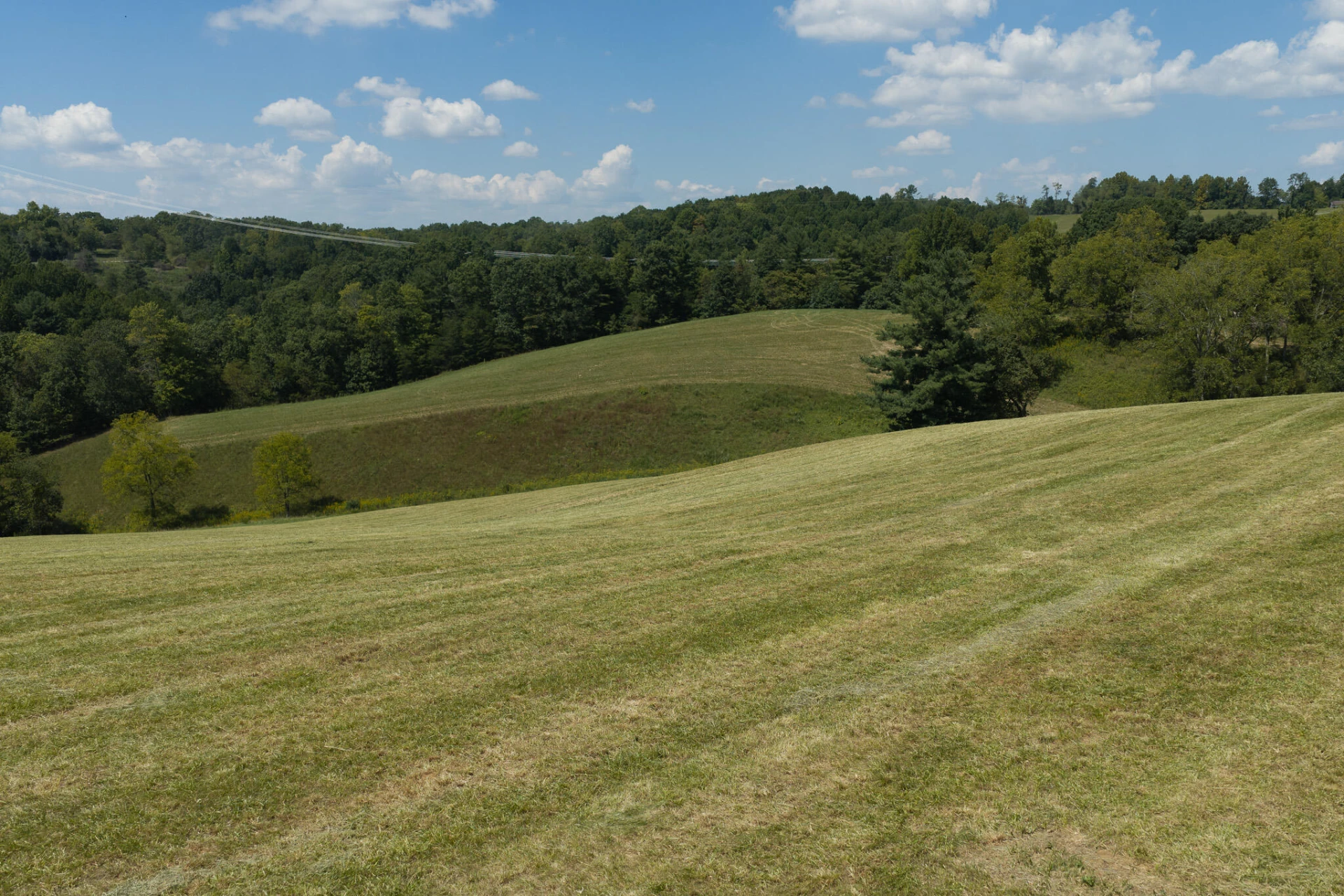 5902 Chestnut Ridge RD - Photo 12