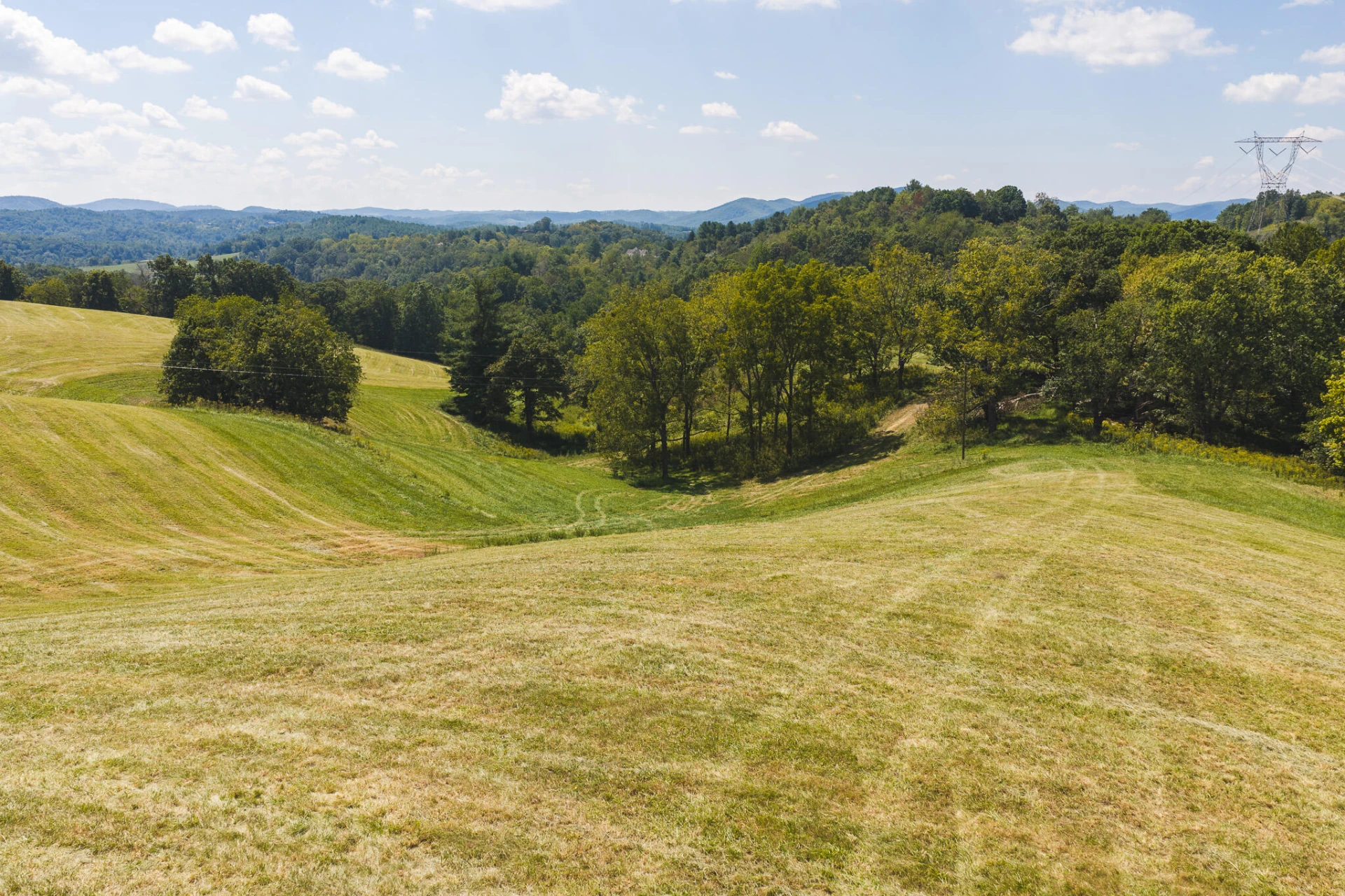 5902 Chestnut Ridge RD - Photo 14