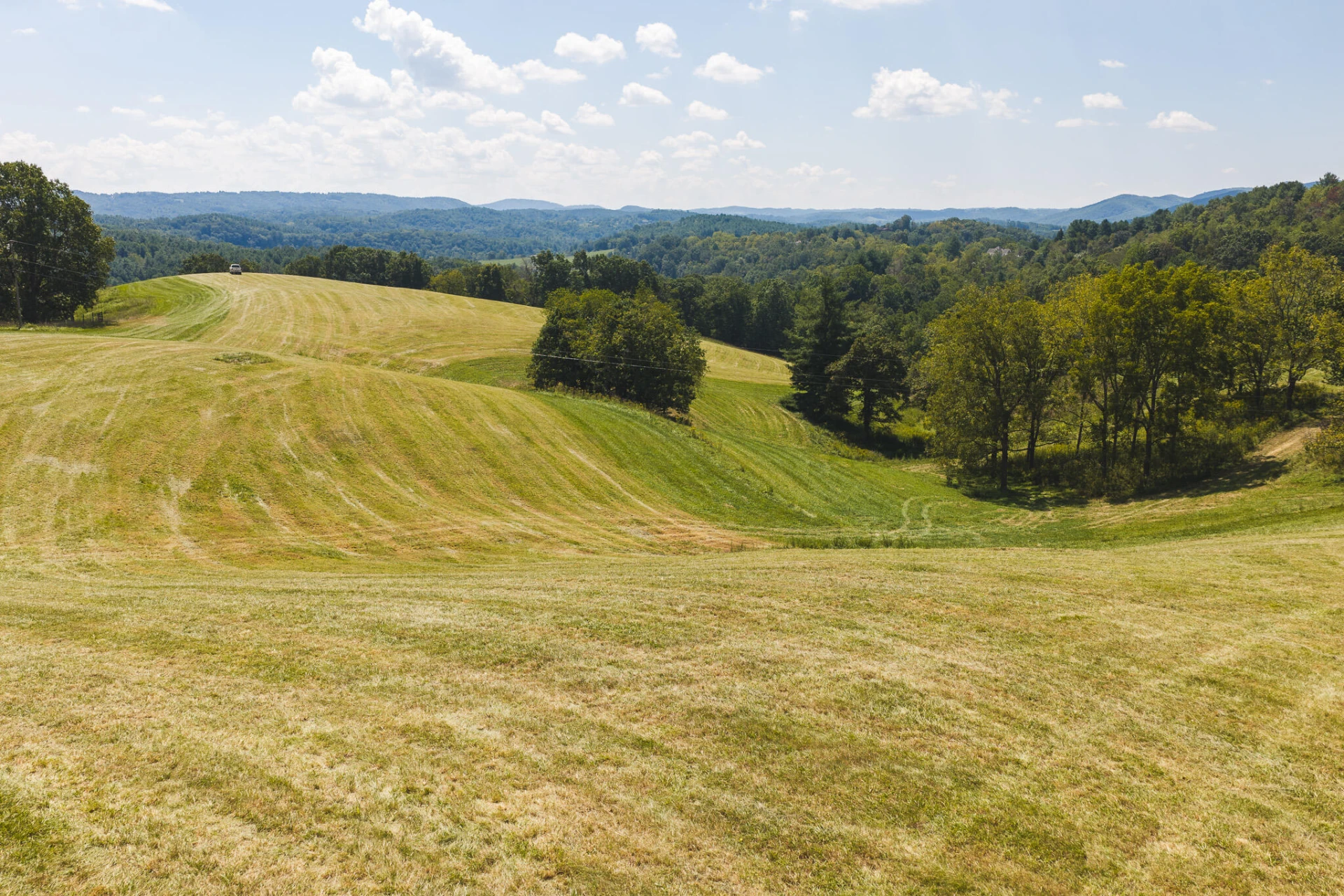 5902 Chestnut Ridge RD - Photo 15