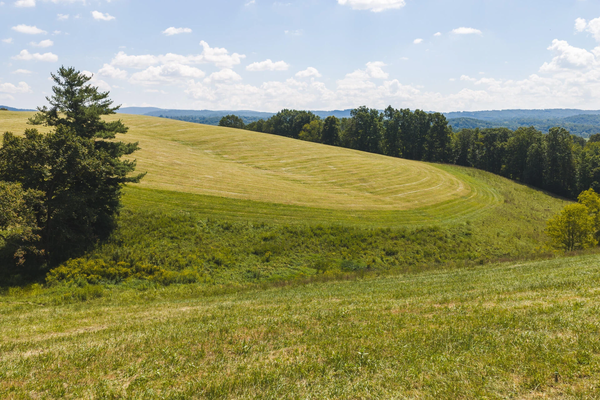 5902 Chestnut Ridge RD - Photo 16
