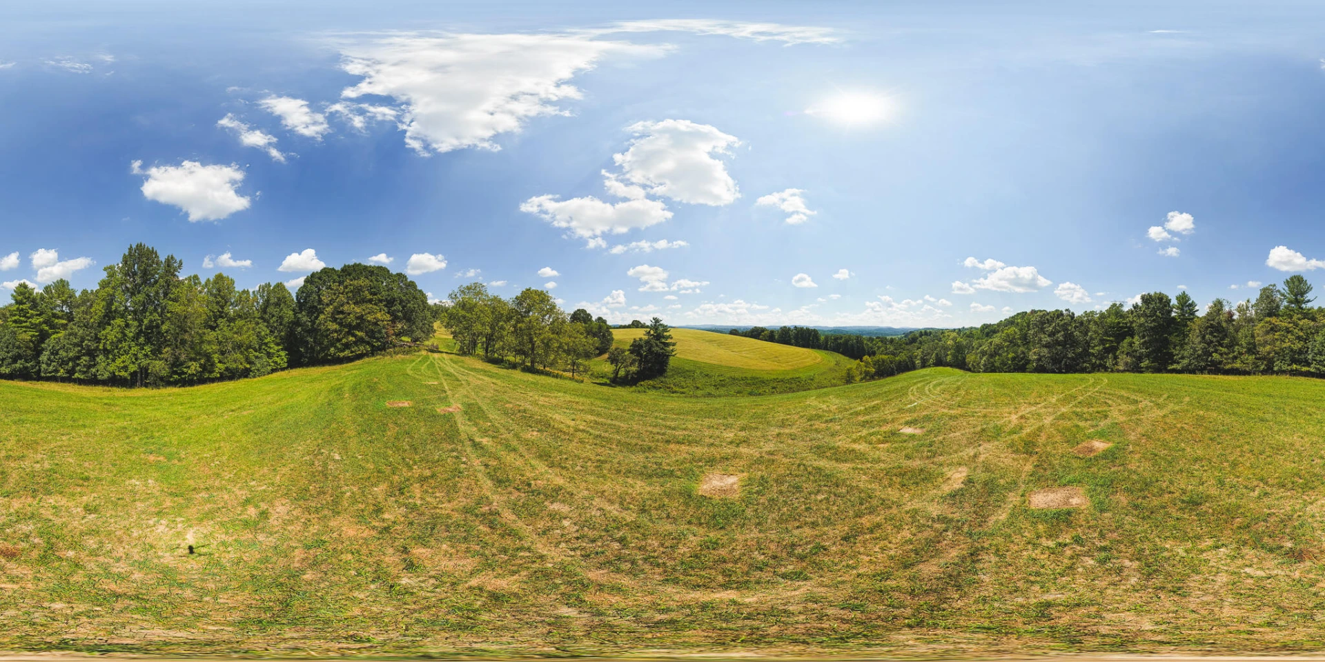 5902 Chestnut Ridge RD - Photo 17