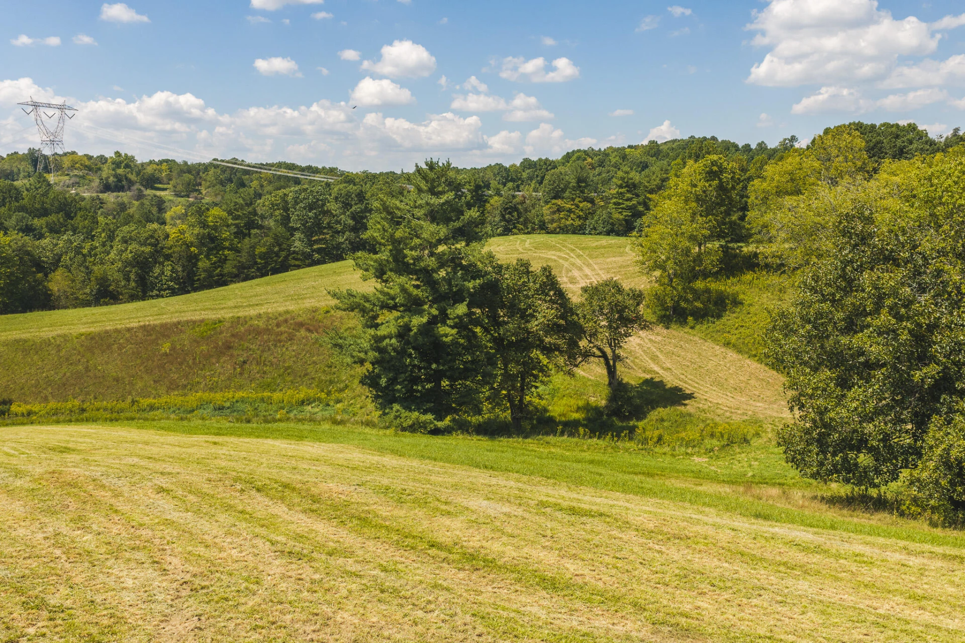 5902 Chestnut Ridge RD - Photo 22