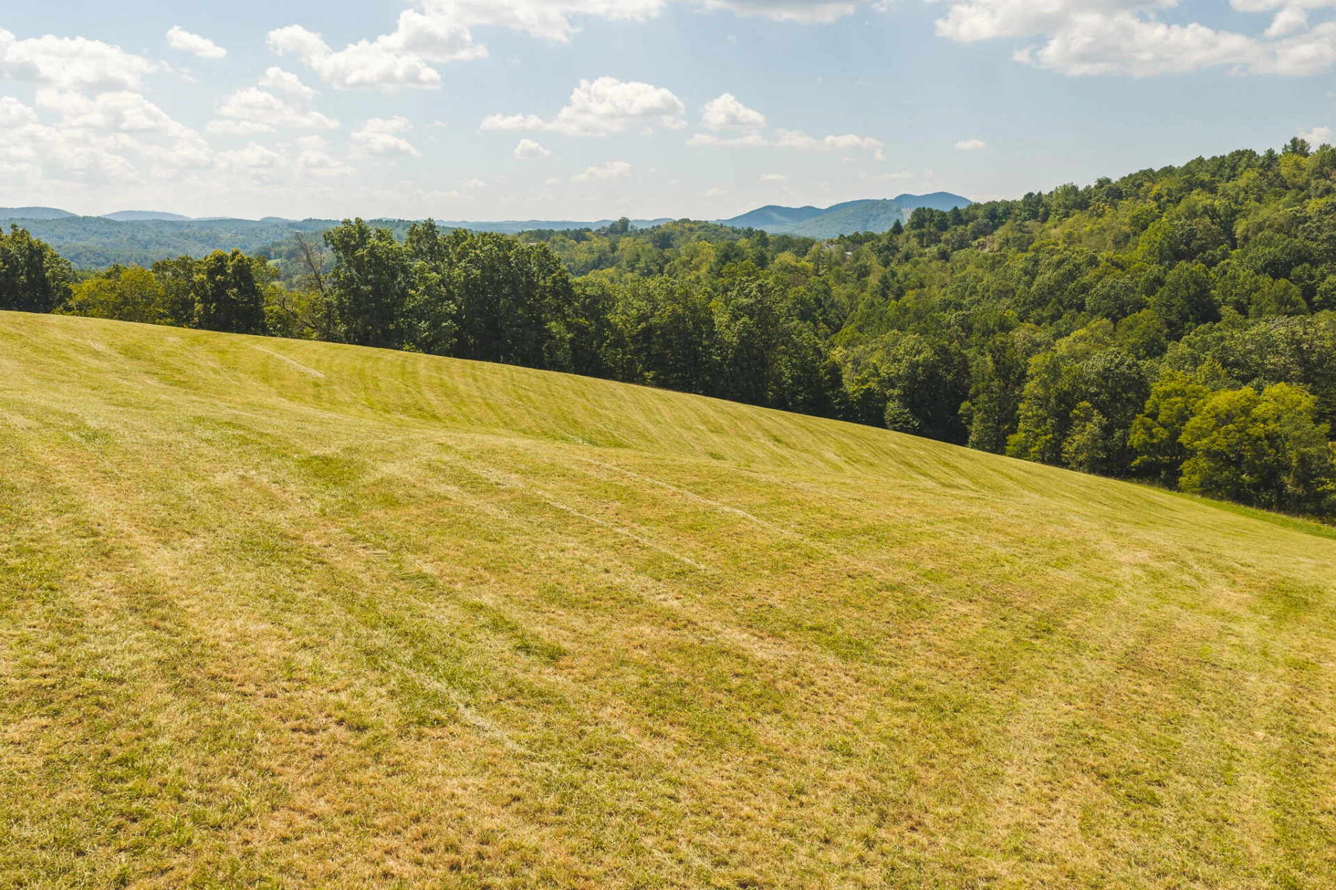 5902 Chestnut Ridge RD - Photo 23