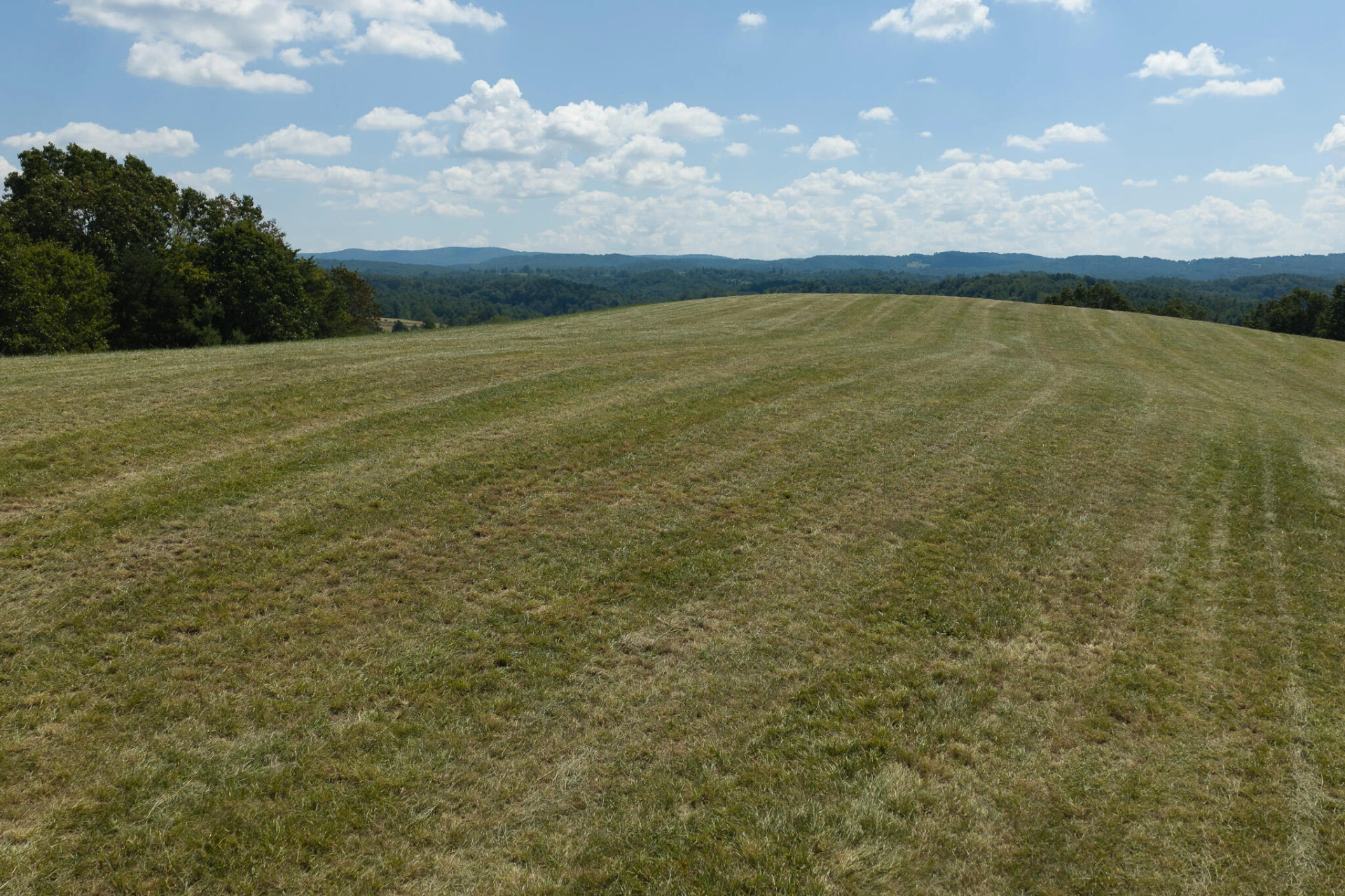 5902 Chestnut Ridge RD - Photo 24