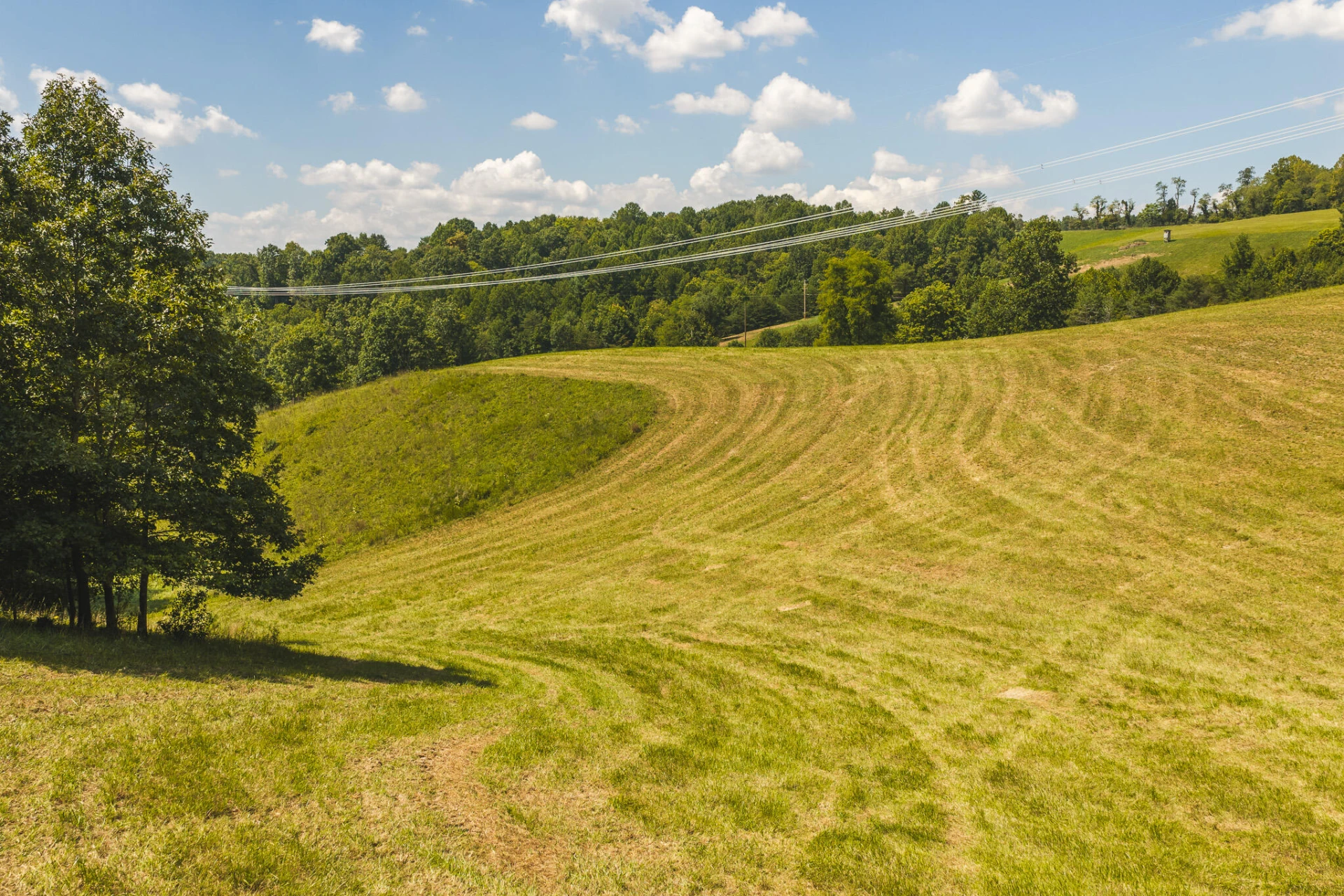 5902 Chestnut Ridge RD - Photo 27