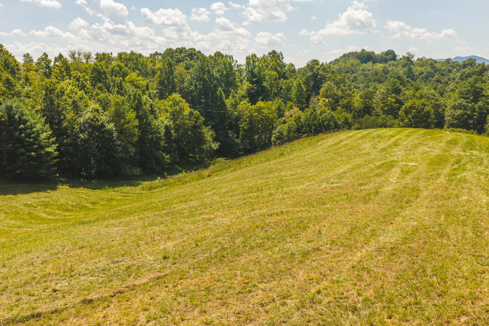 5902 Chestnut Ridge RD - Photo 28