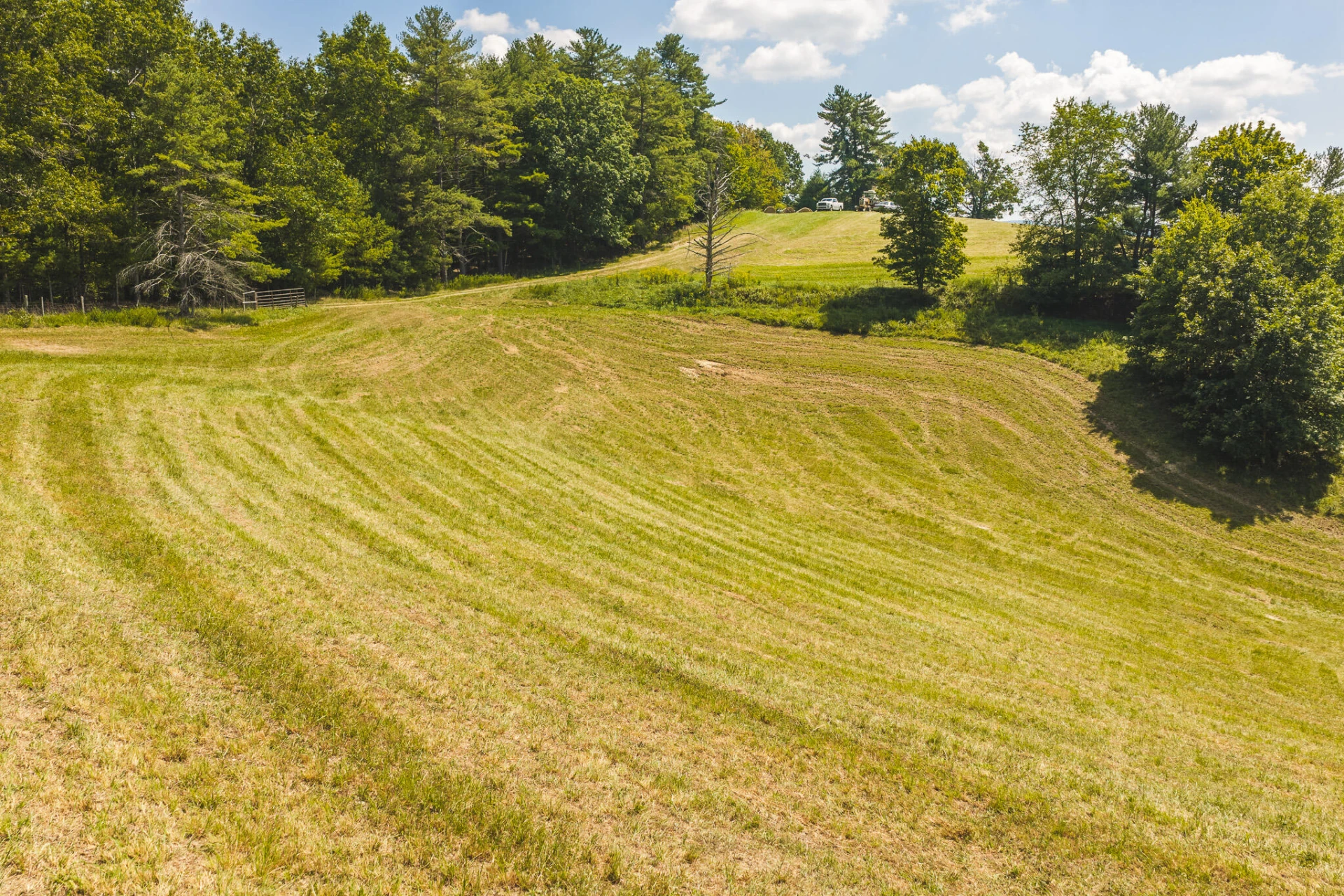 5902 Chestnut Ridge RD - Photo 29