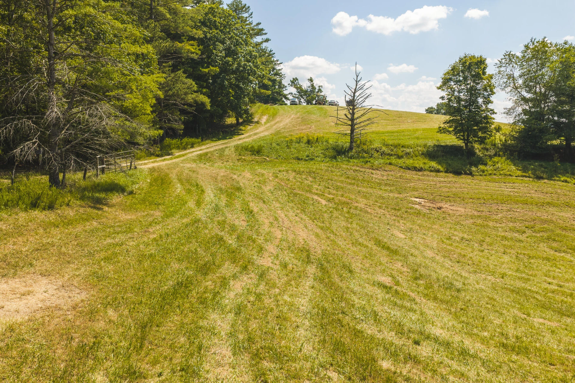 5902 Chestnut Ridge RD - Photo 30