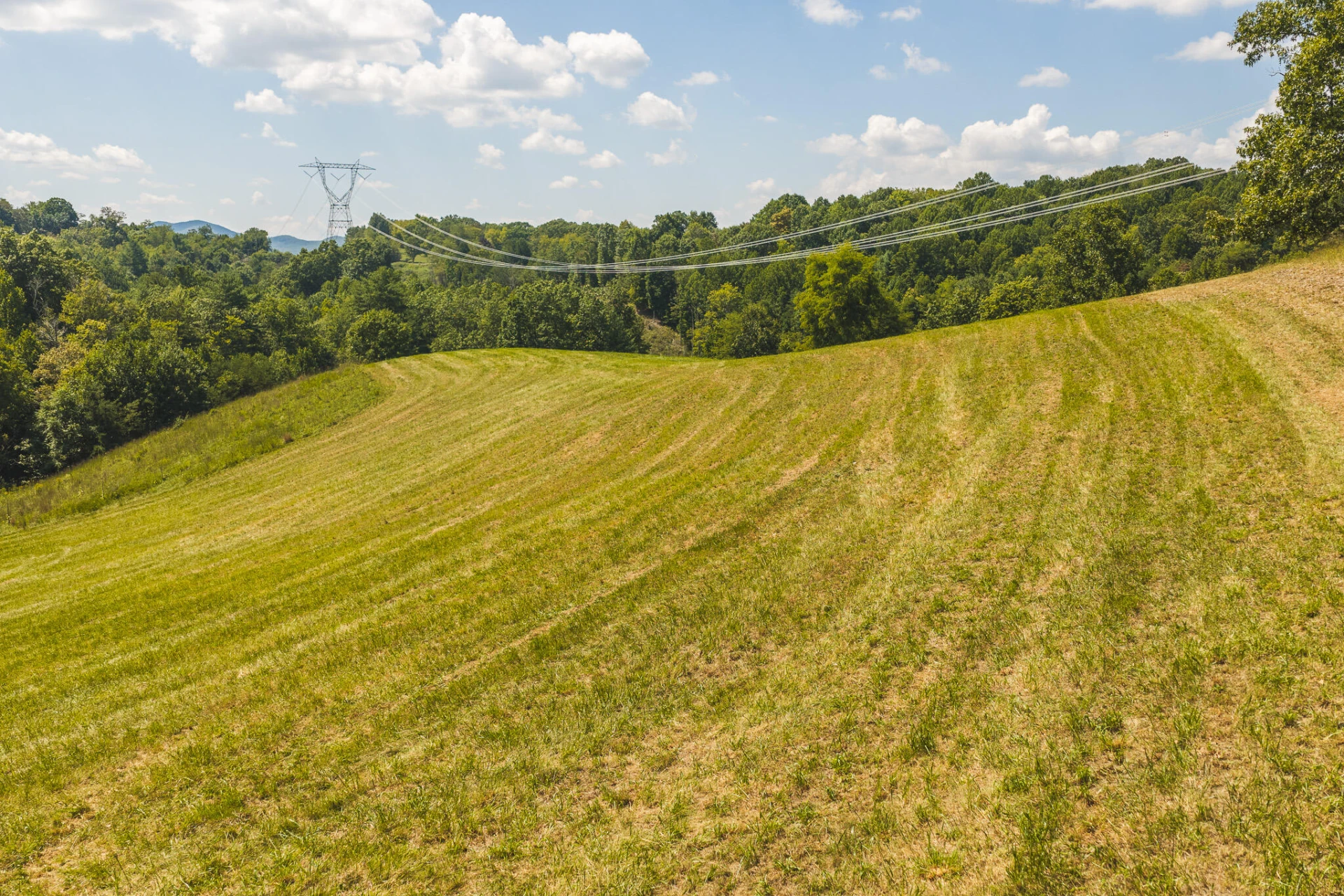 5902 Chestnut Ridge RD - Photo 31