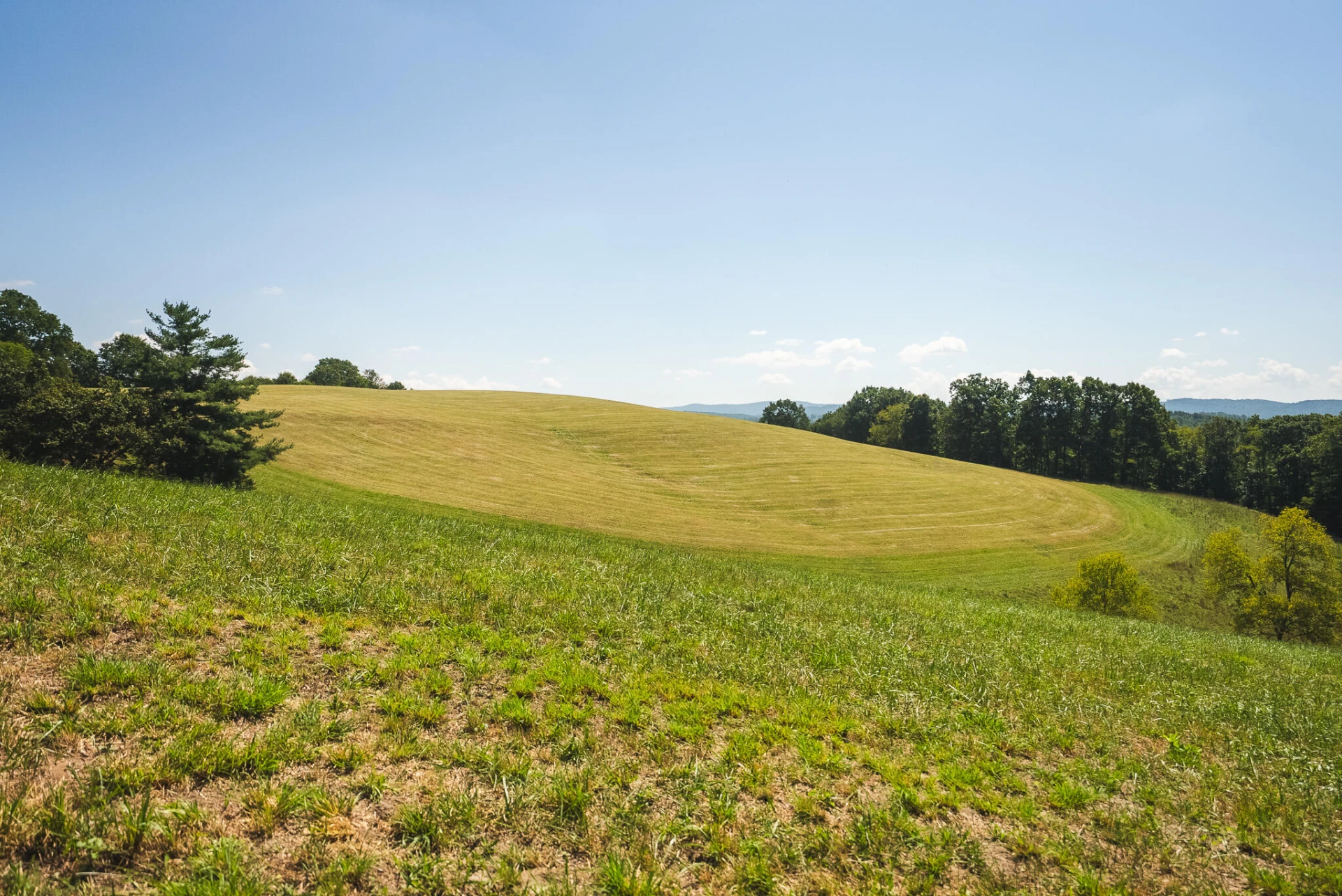 5902 Chestnut Ridge RD - Photo 39