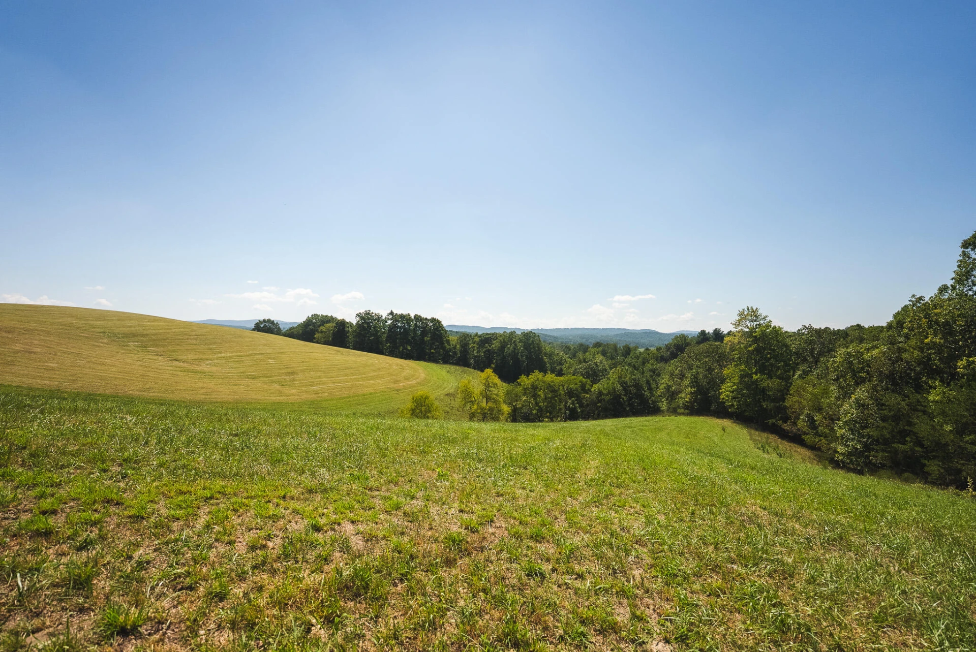 5902 Chestnut Ridge RD - Photo 40