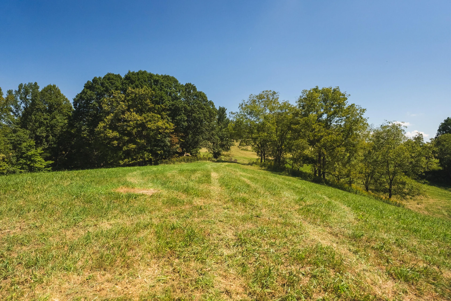 5902 Chestnut Ridge RD - Photo 41