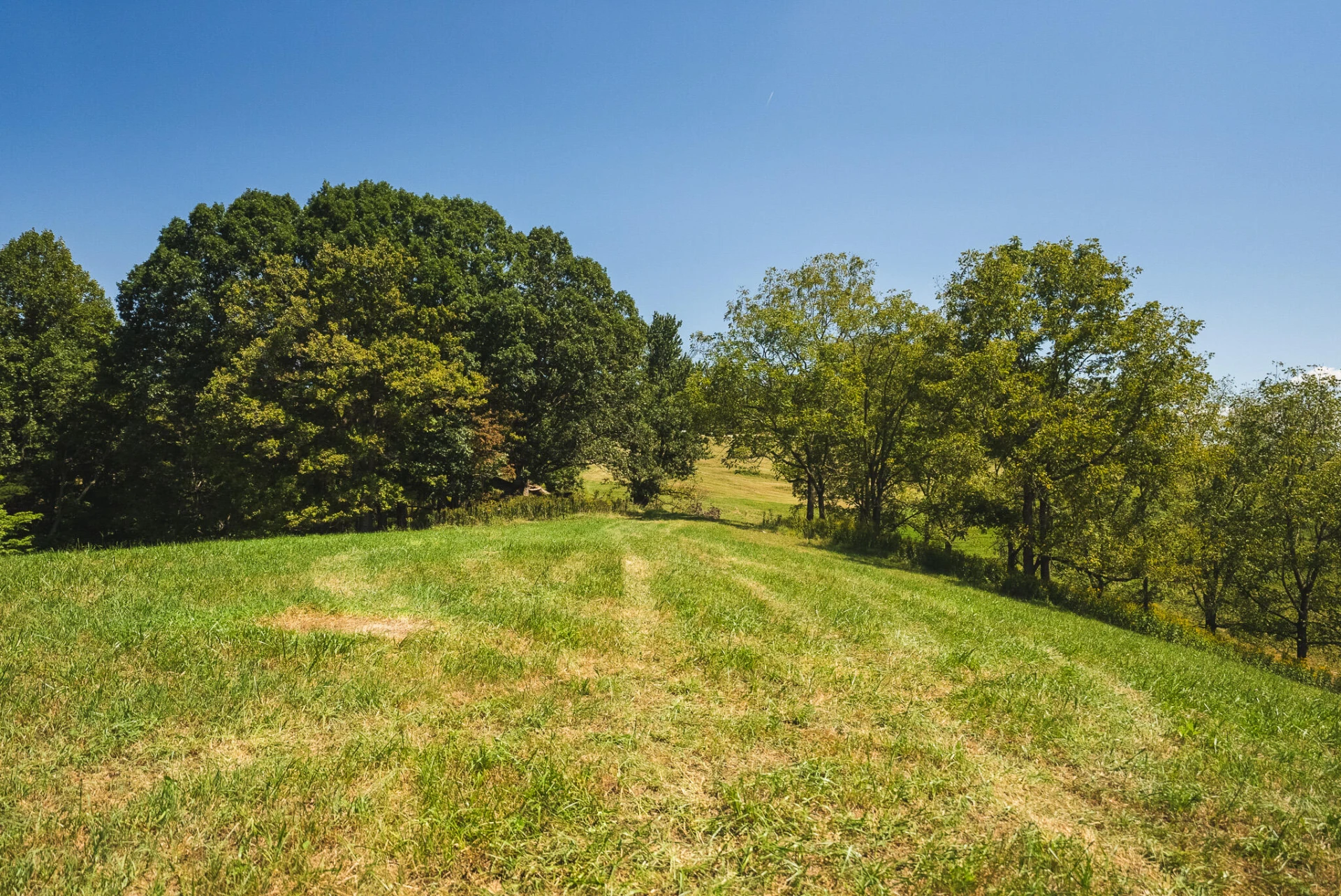5902 Chestnut Ridge RD - Photo 42