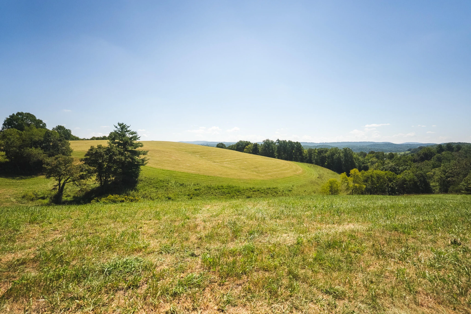 5902 Chestnut Ridge RD - Photo 43