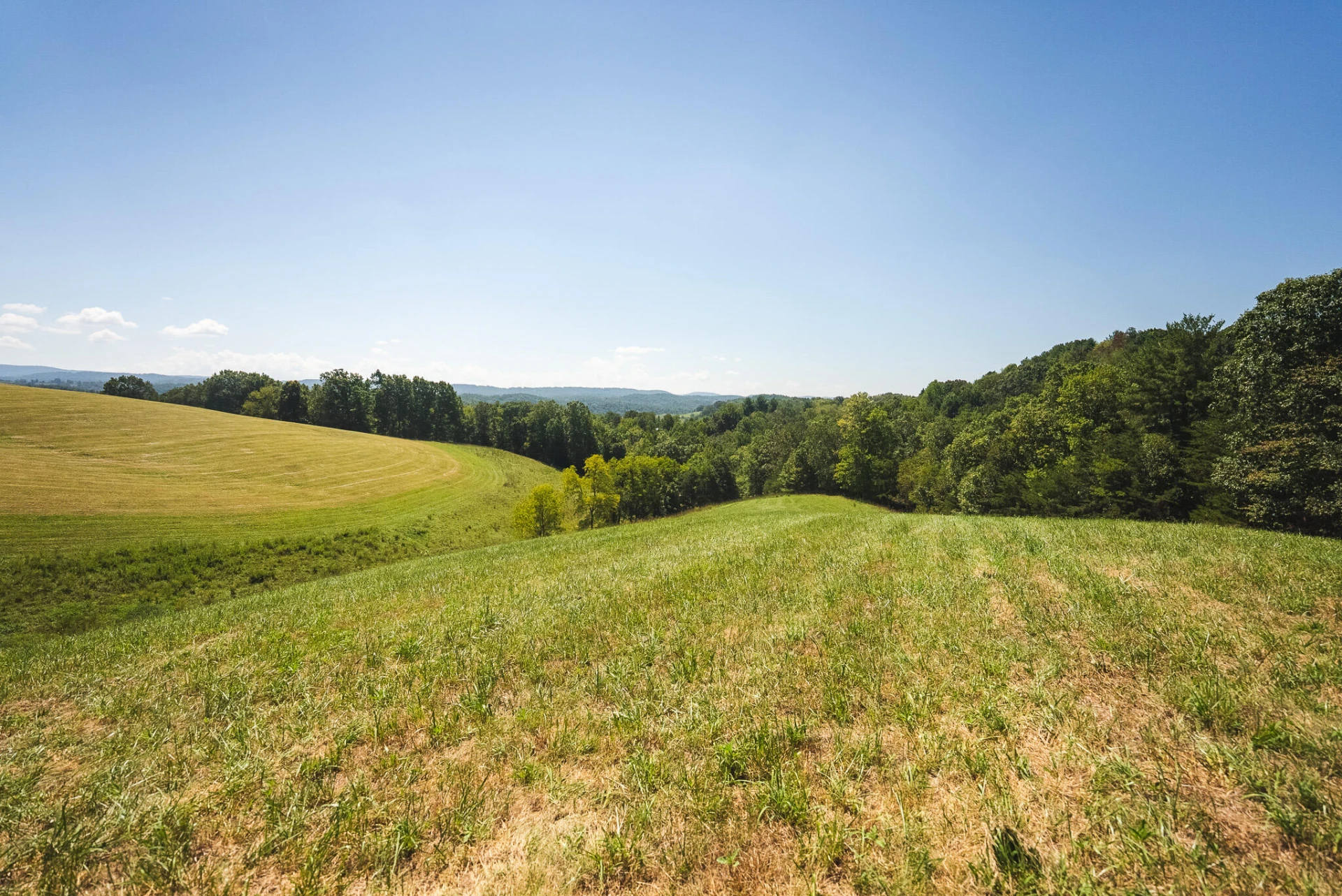 5902 Chestnut Ridge RD - Photo 44
