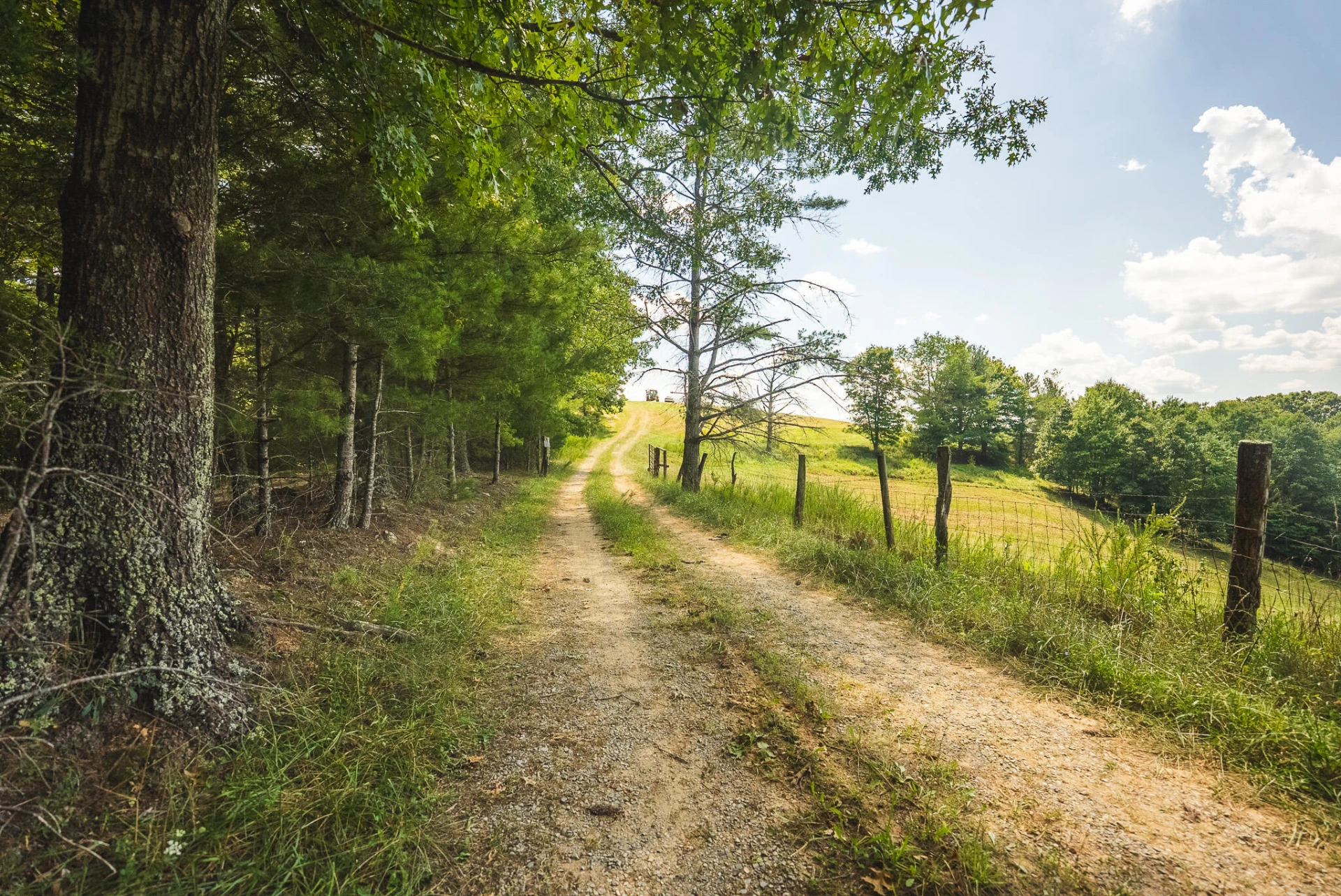 5902 Chestnut Ridge RD - Photo 45