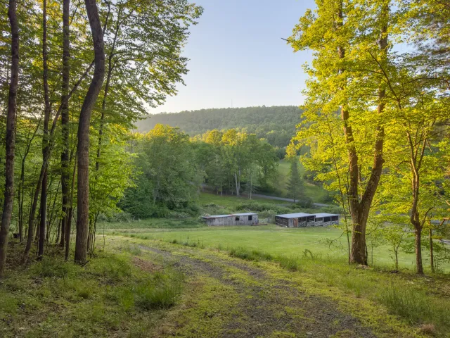 65 Acres Dugspur Rd, Dugspur, VA, 24325