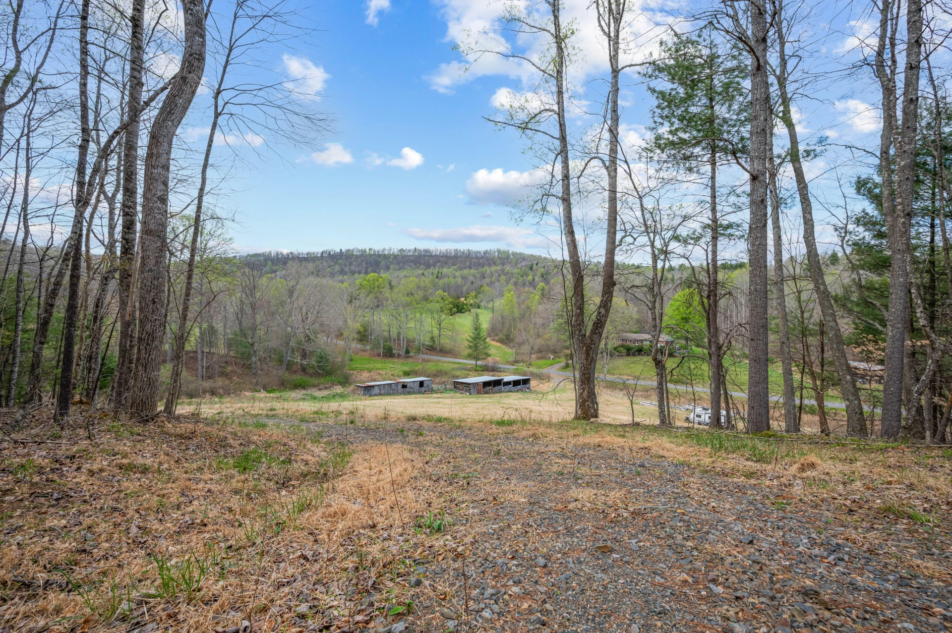 65 Acres Dugspur Rd - Photo 2