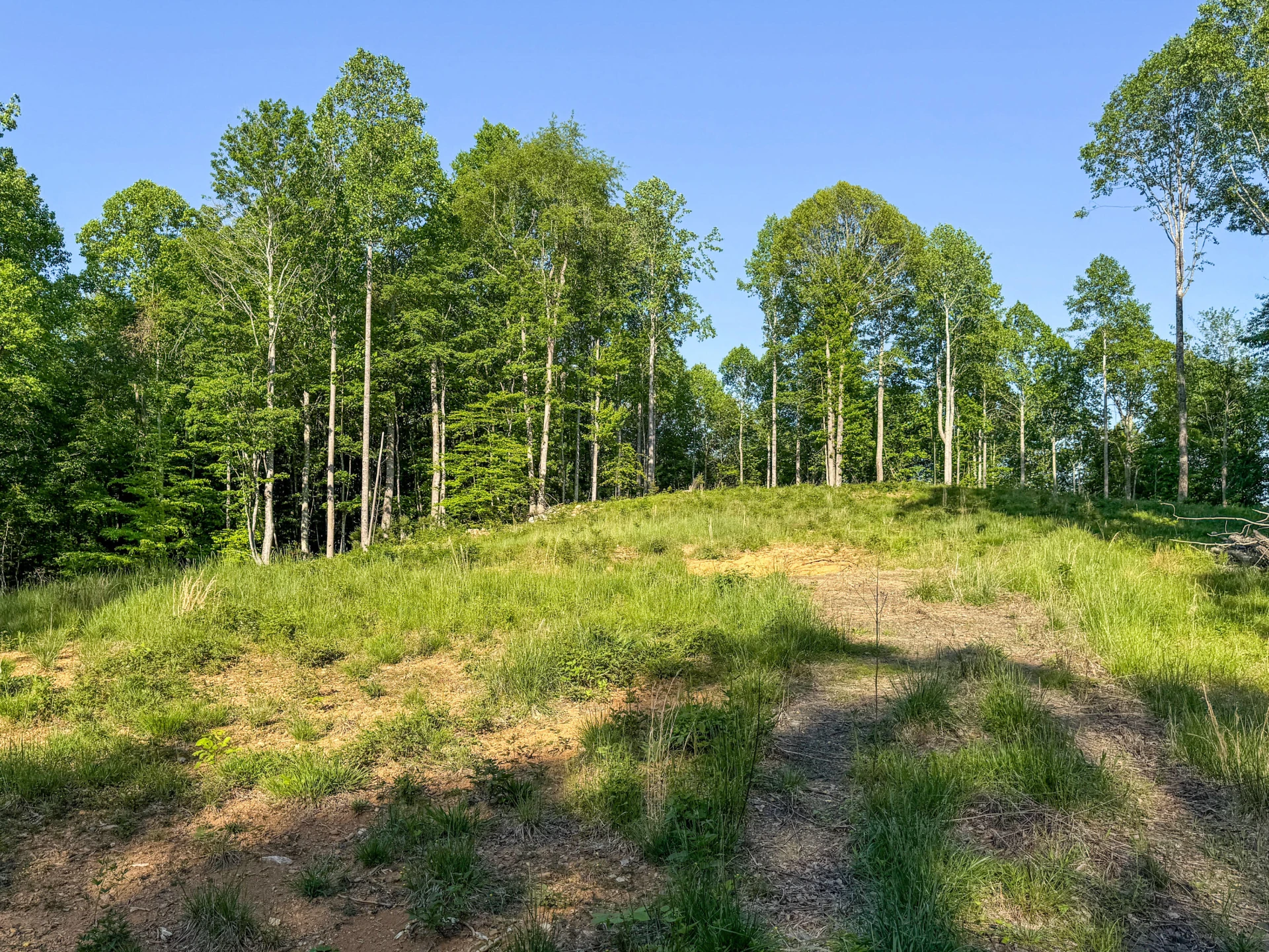 65 Acres Dugspur Rd - Photo 3
