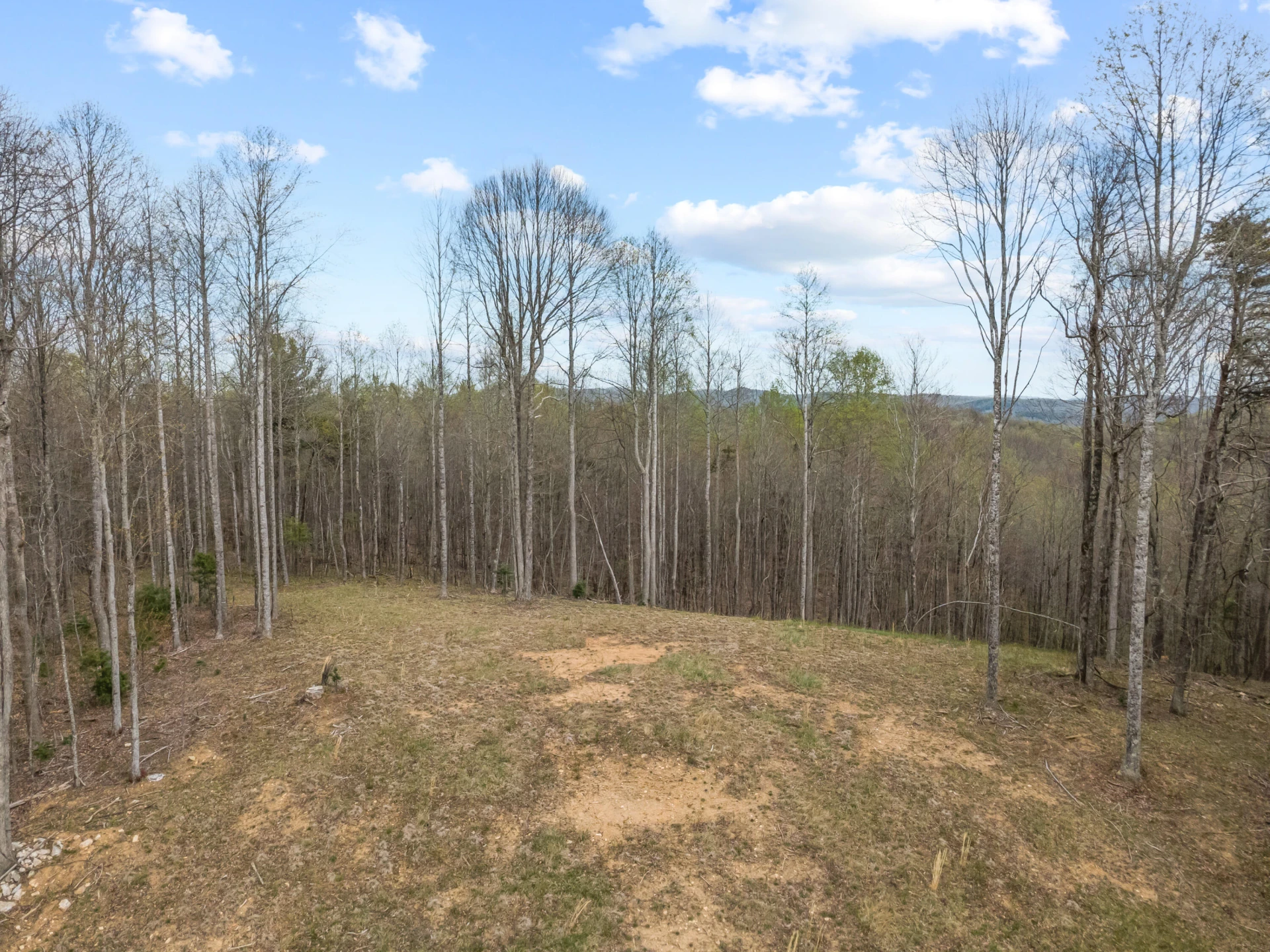 65 Acres Dugspur Rd - Photo 4