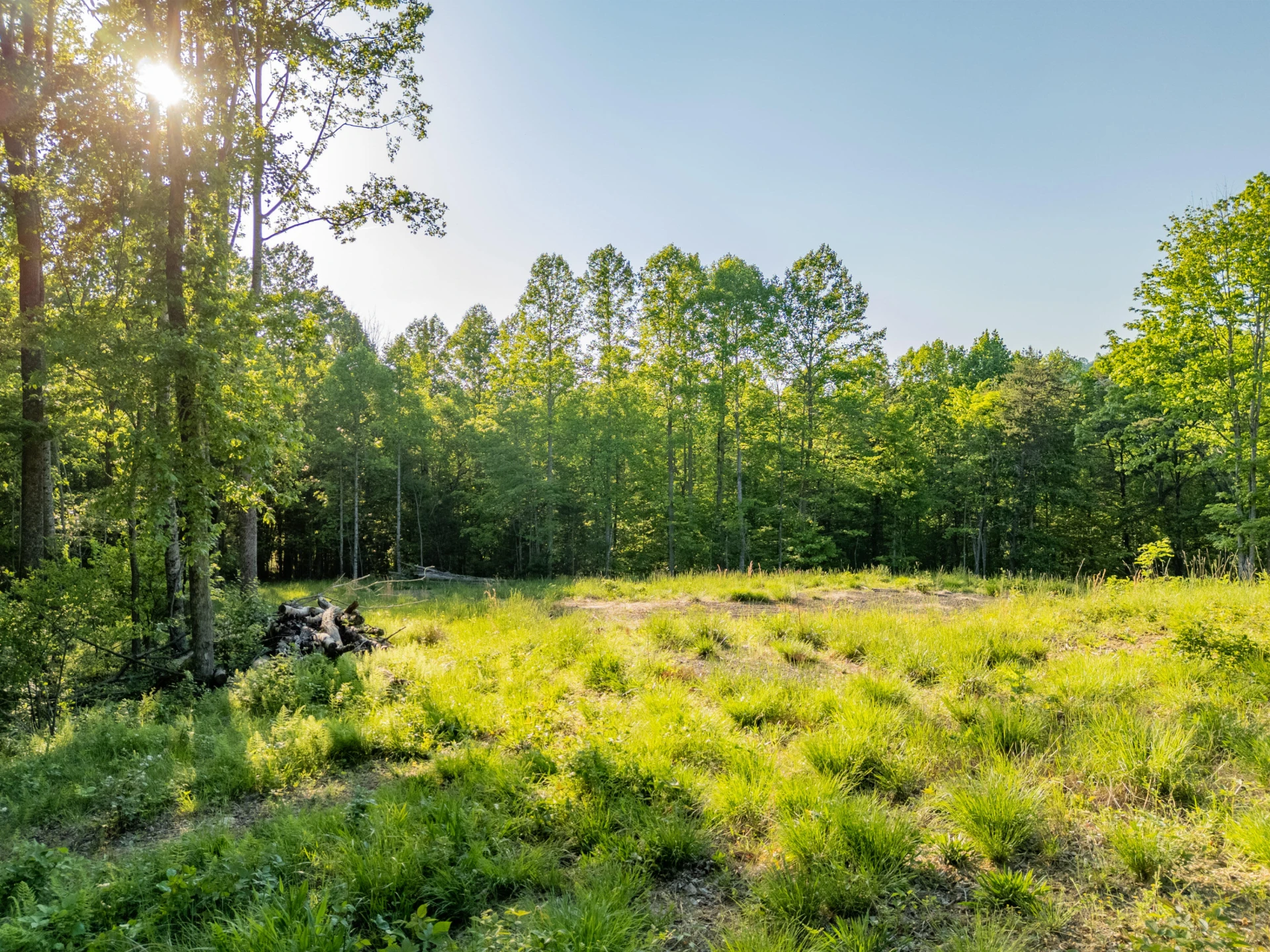 65 Acres Dugspur Rd - Photo 10