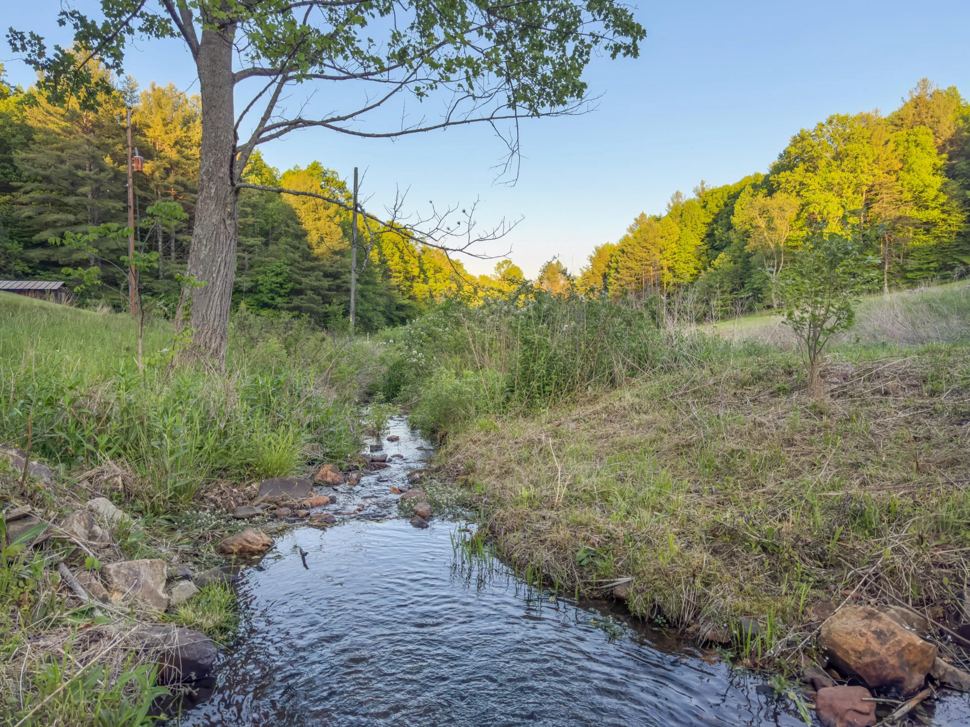 65 Acres Dugspur Rd - Photo 12