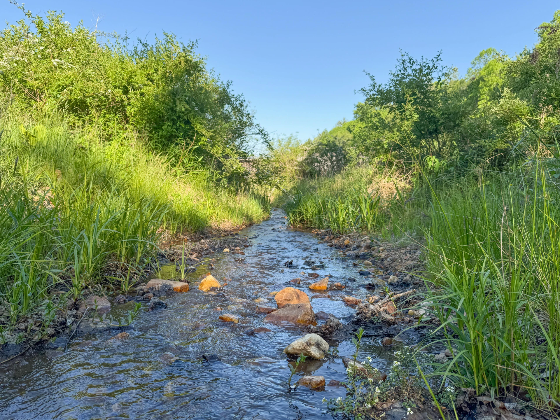 65 Acres Dugspur Rd - Photo 17