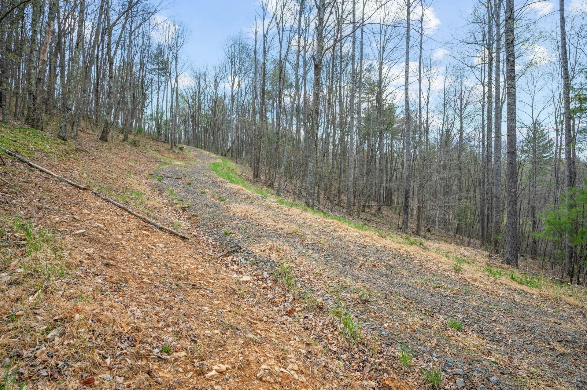 65 Acres Dugspur Rd - Photo 20