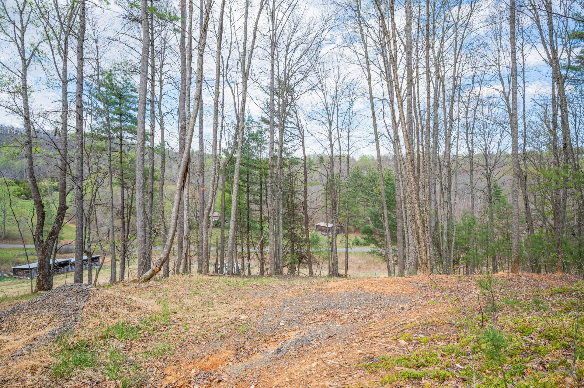 65 Acres Dugspur Rd - Photo 22
