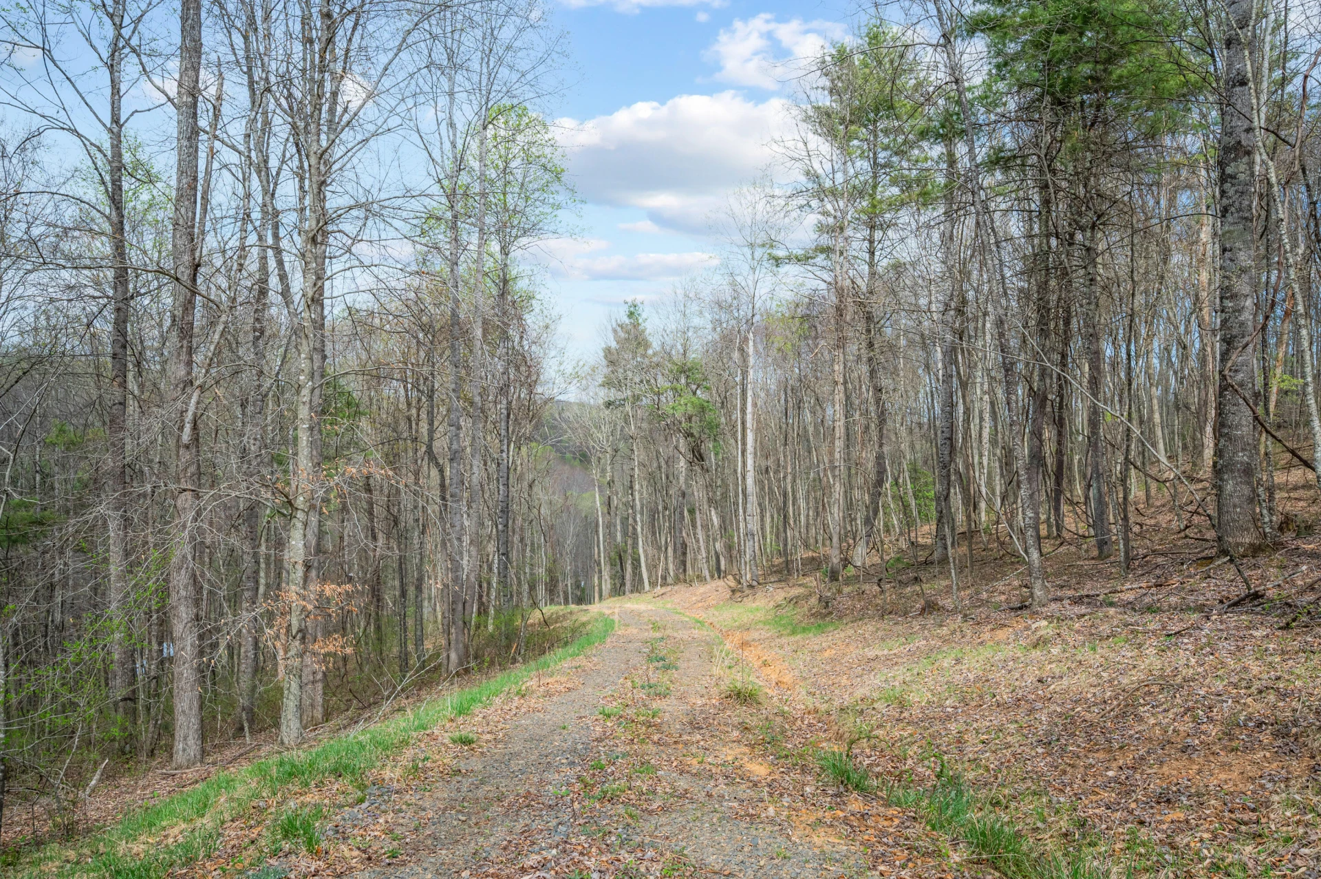 65 Acres Dugspur Rd - Photo 24