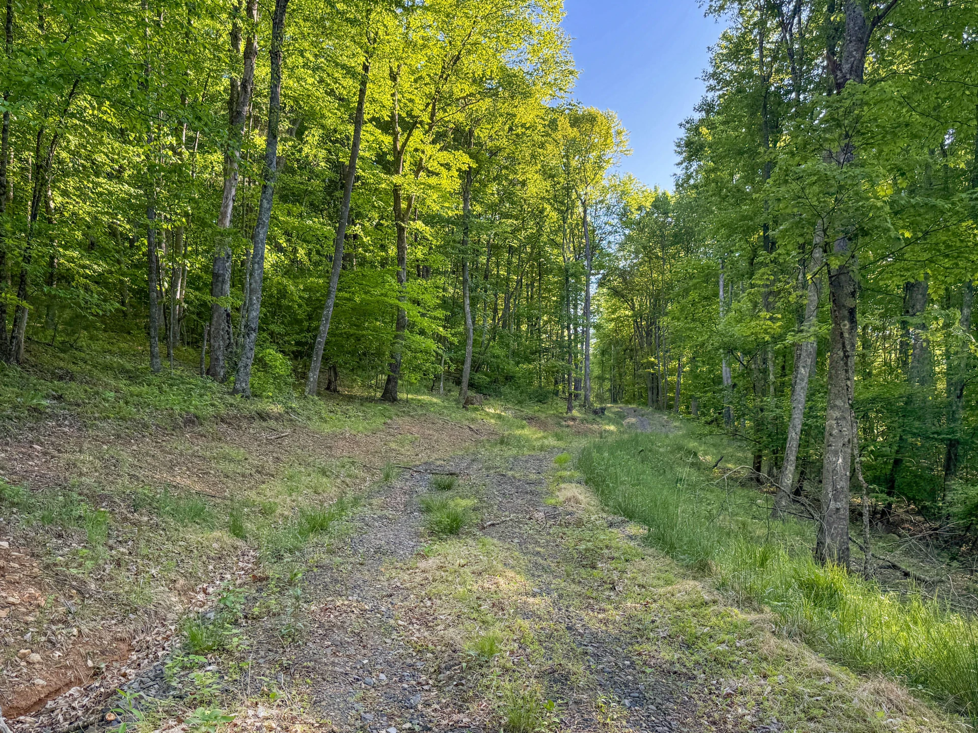 65 Acres Dugspur Rd - Photo 25