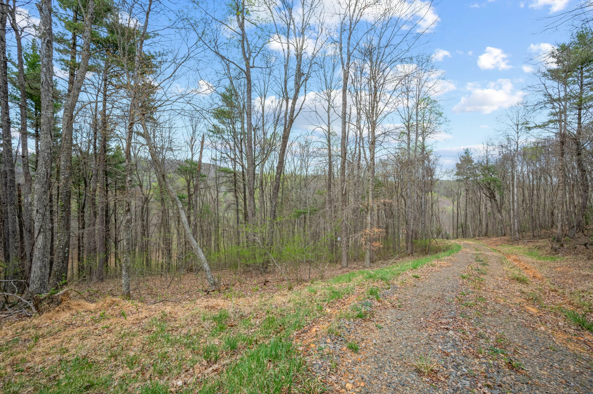 65 Acres Dugspur Rd - Photo 26
