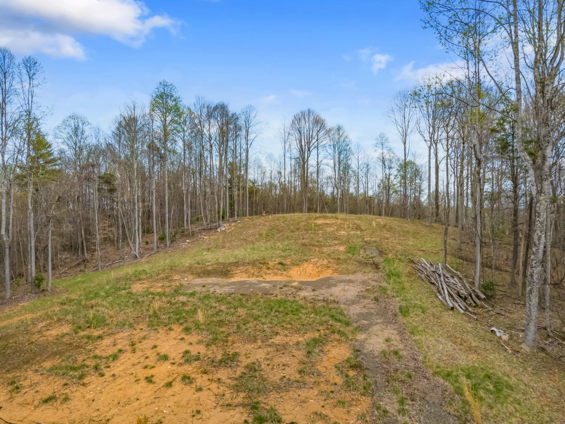 65 Acres Dugspur Rd - Photo 28