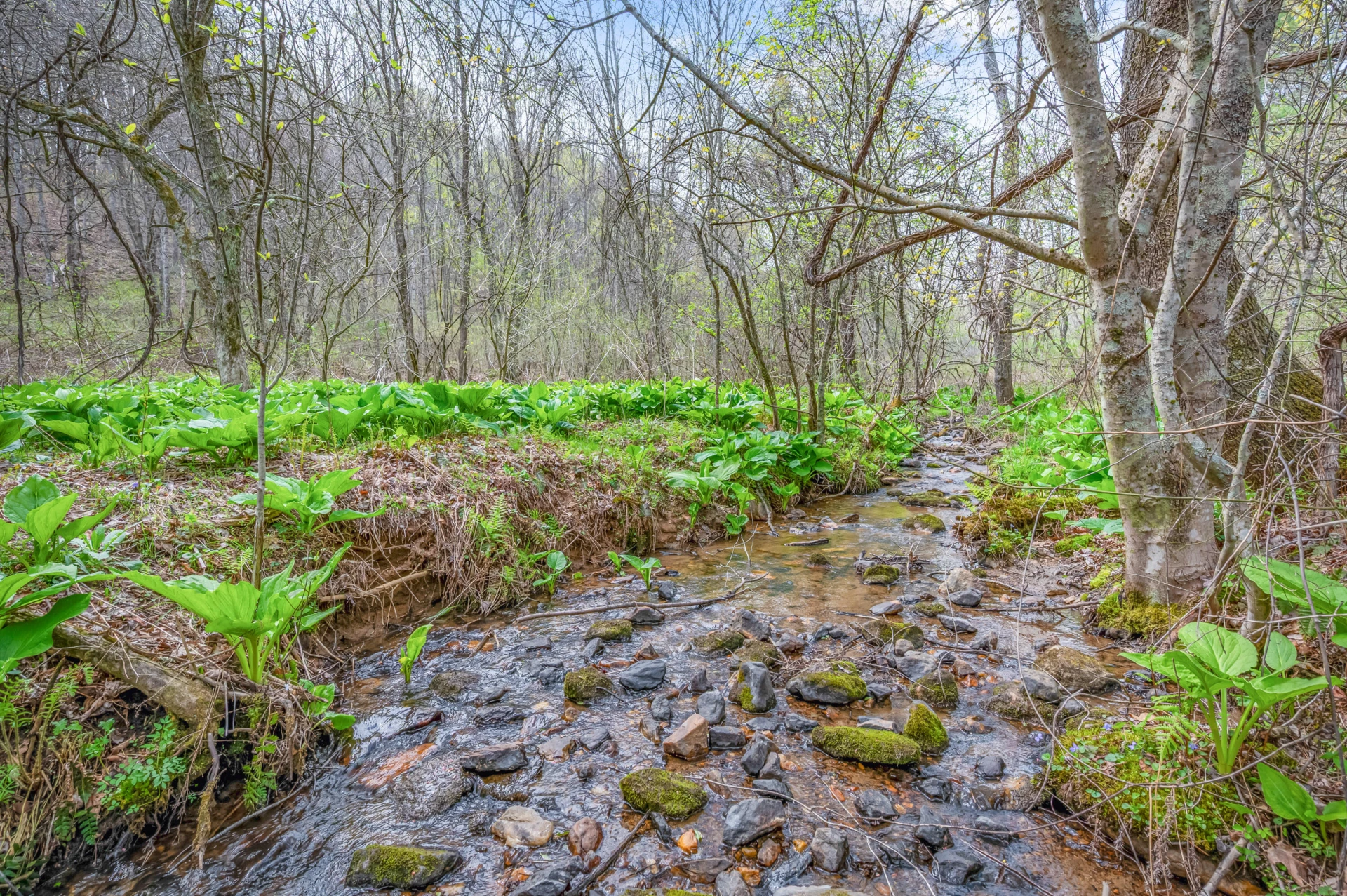 65 Acres Dugspur Rd - Photo 29