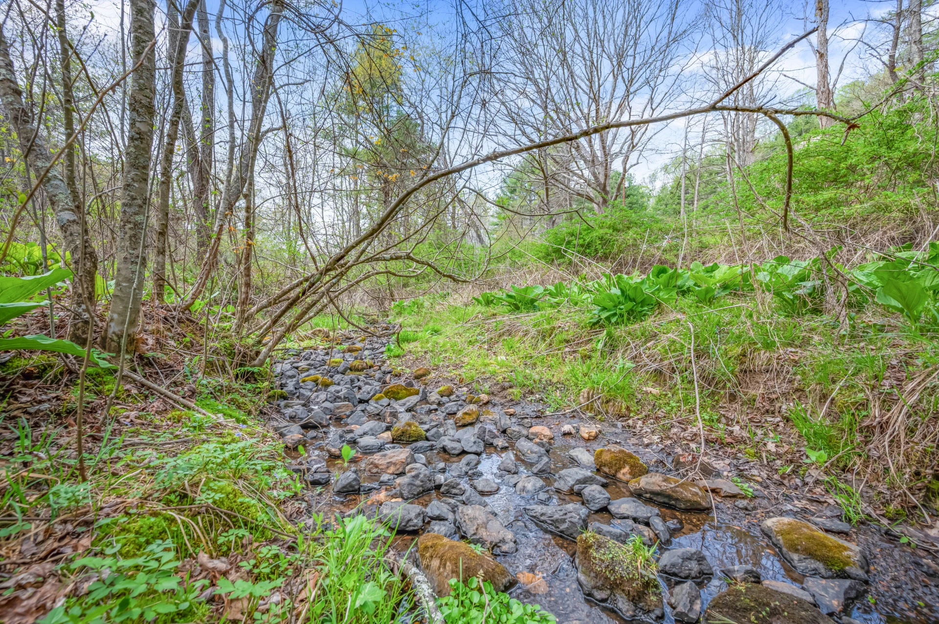 65 Acres Dugspur Rd - Photo 30