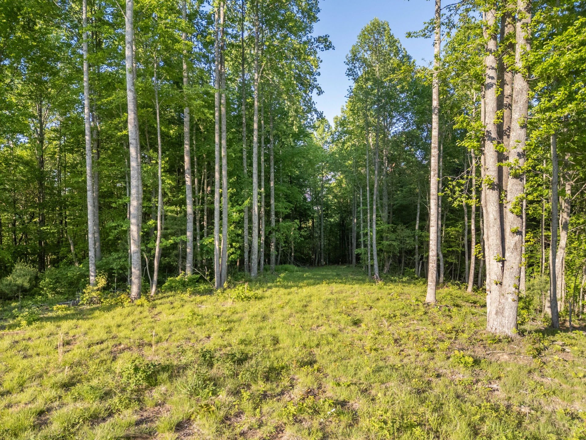 65 Acres Dugspur Rd - Photo 35
