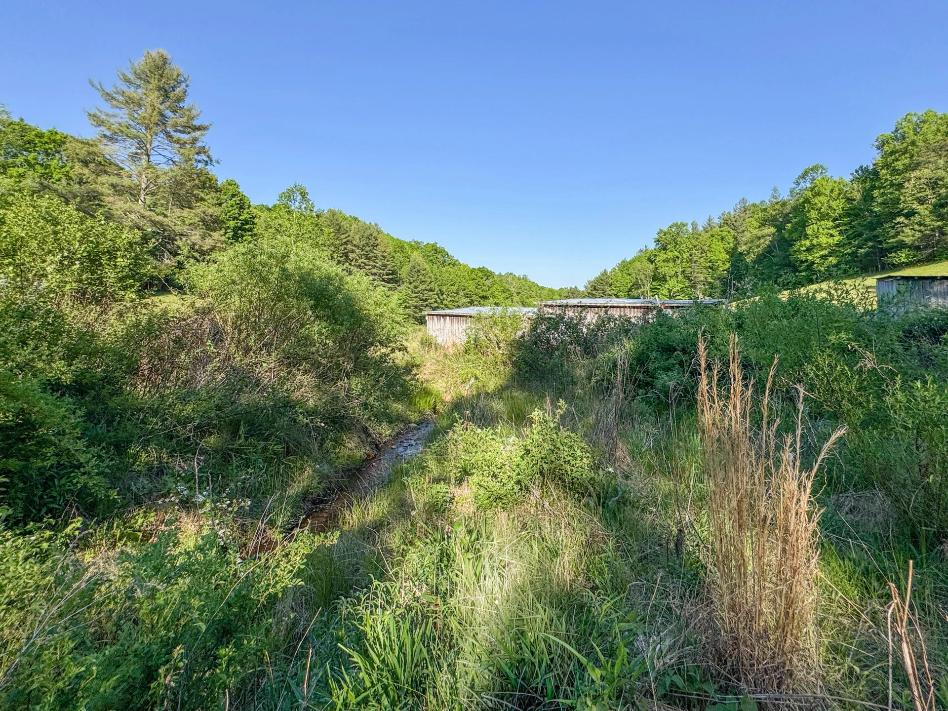 65 Acres Dugspur Rd - Photo 37