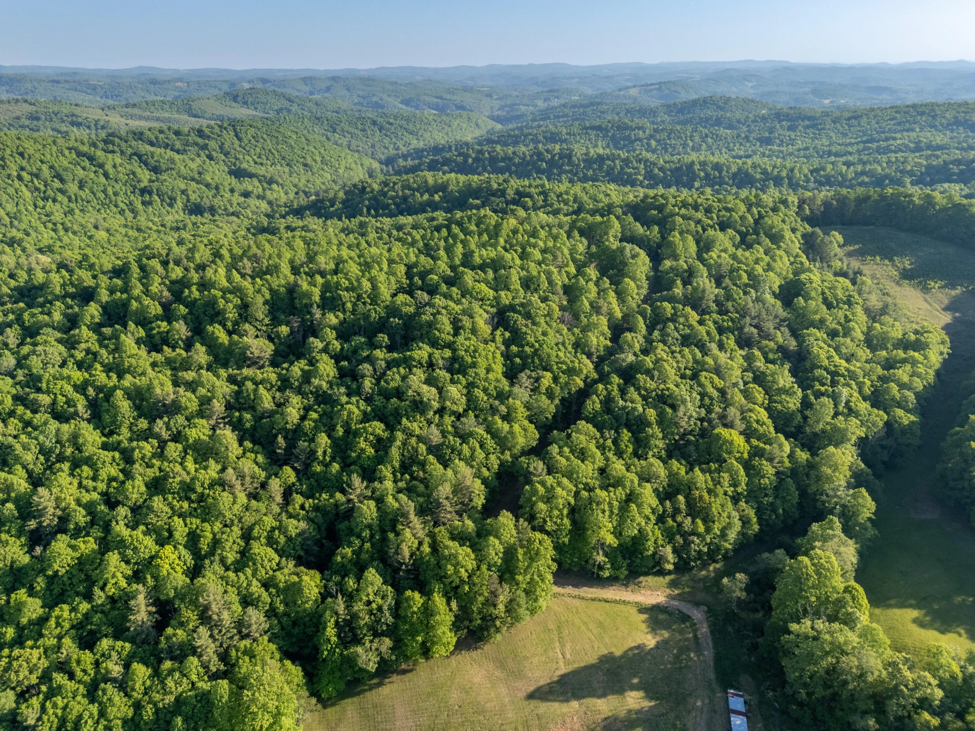 65 Acres Dugspur Rd - Photo 39