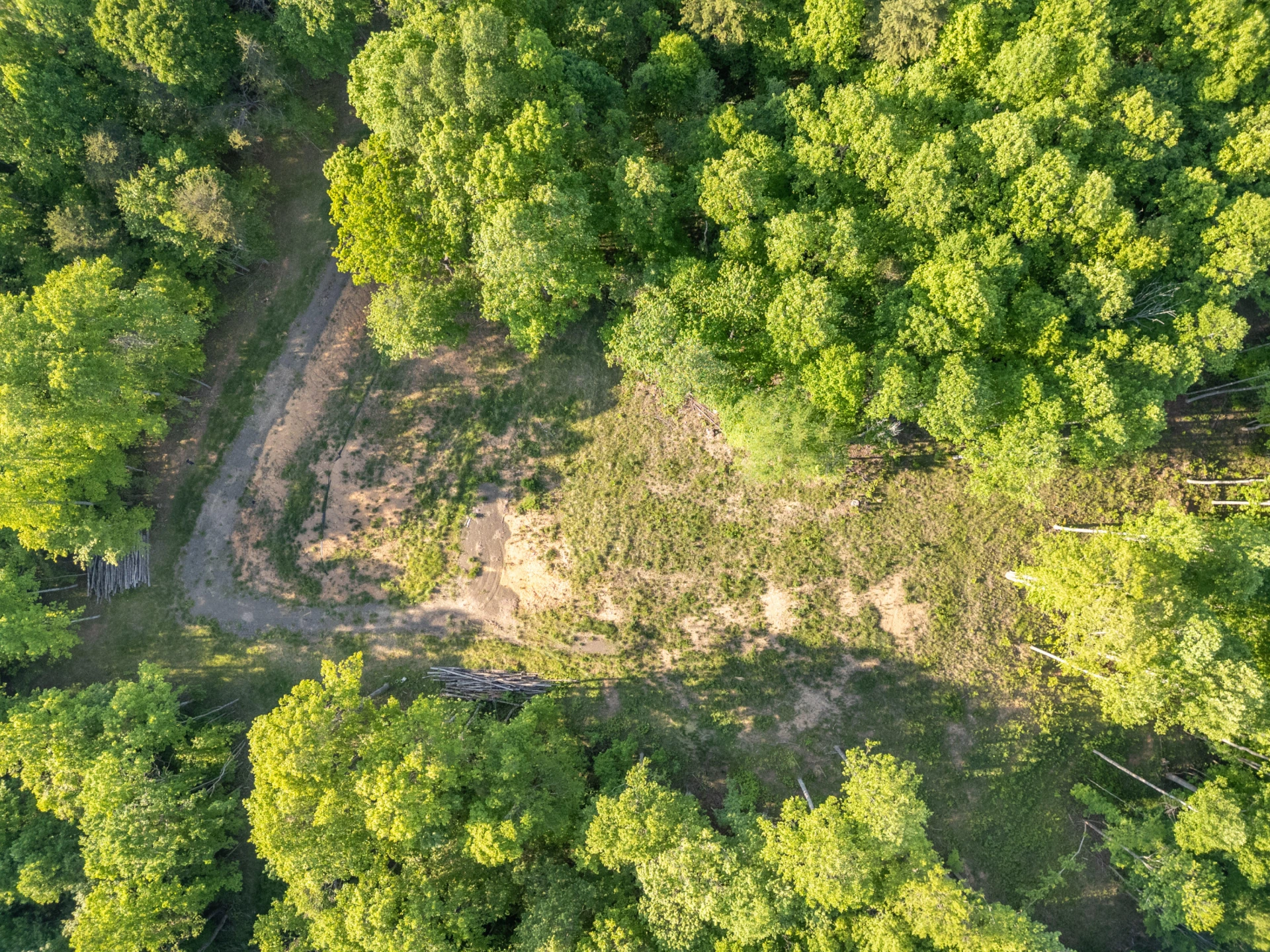 65 Acres Dugspur Rd - Photo 43