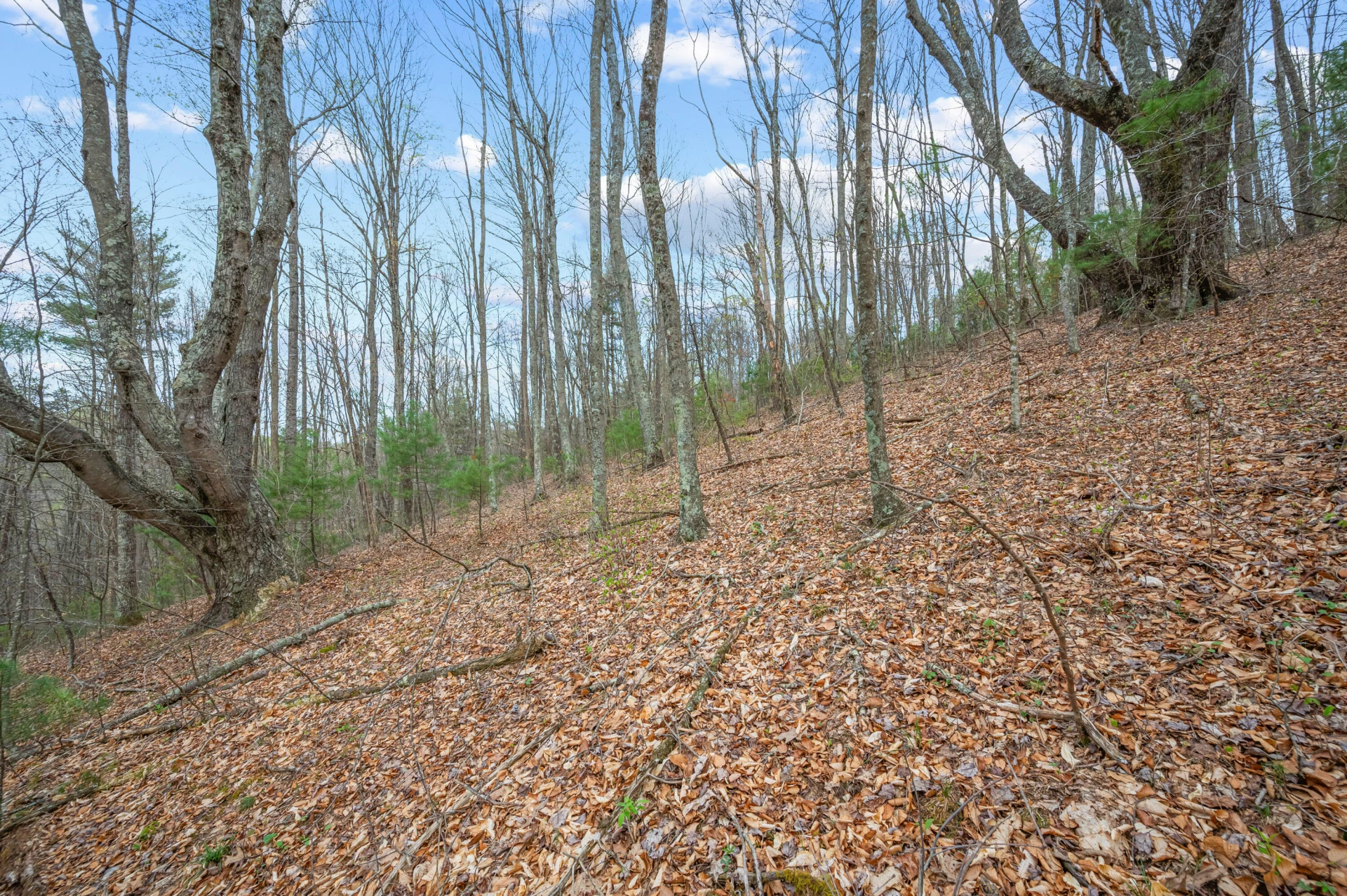 65 Acres Dugspur Rd - Photo 44
