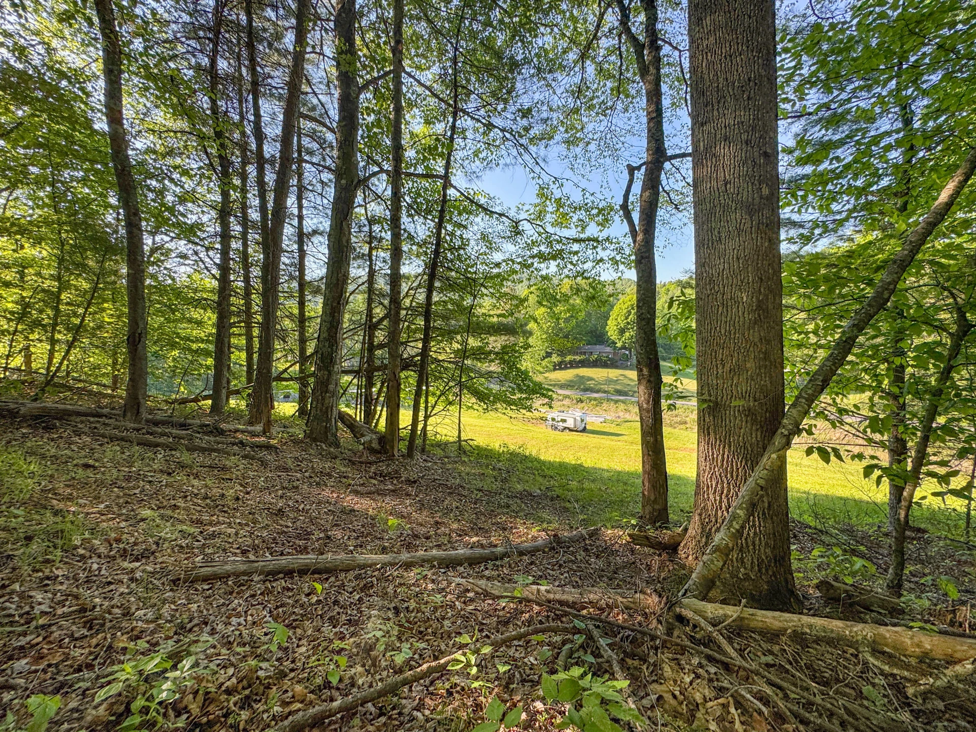 65 Acres Dugspur Rd - Photo 45