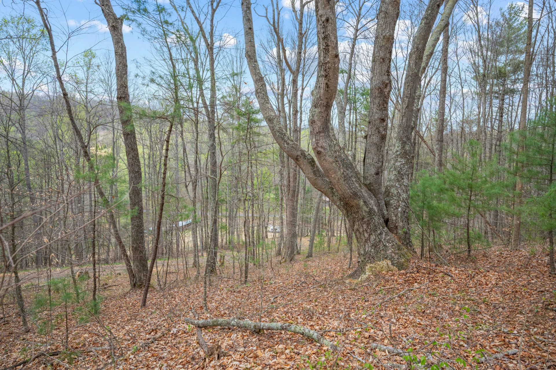 65 Acres Dugspur Rd - Photo 46