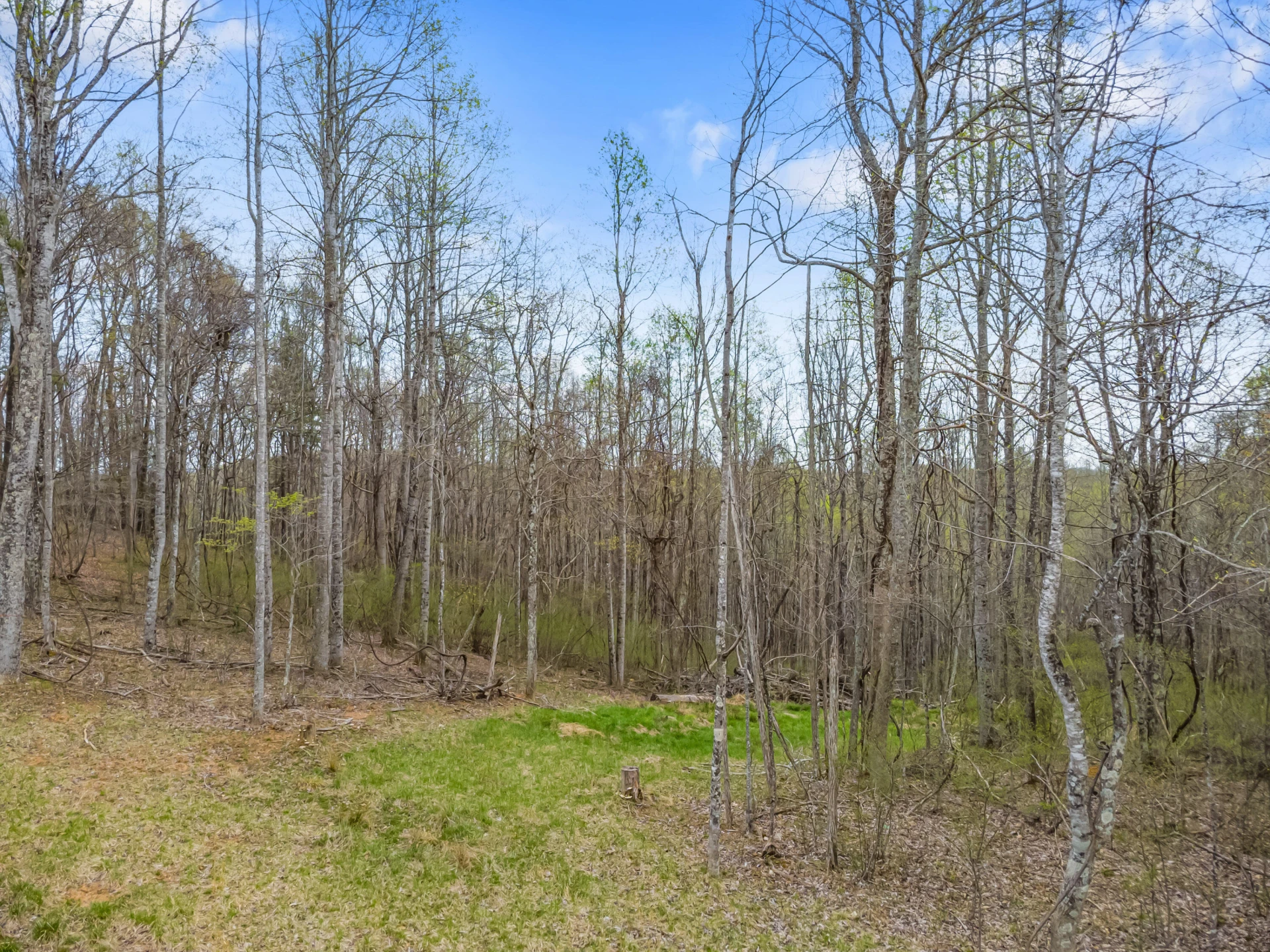 65 Acres Dugspur Rd - Photo 47
