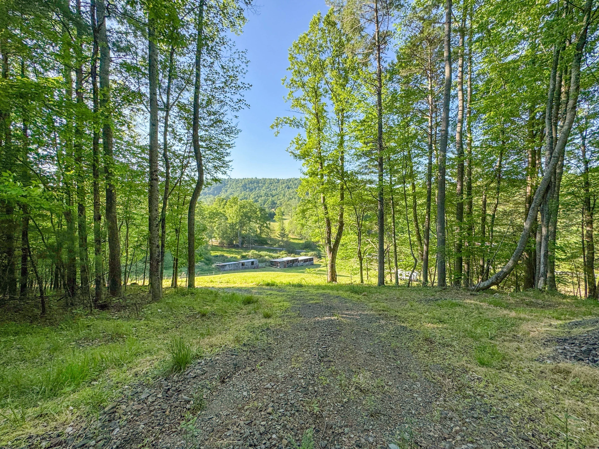 65 Acres Dugspur Rd - Photo 48