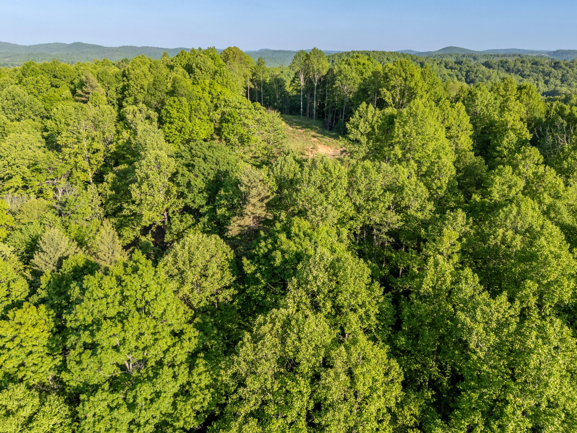 65 Acres Dugspur Rd - Photo 54
