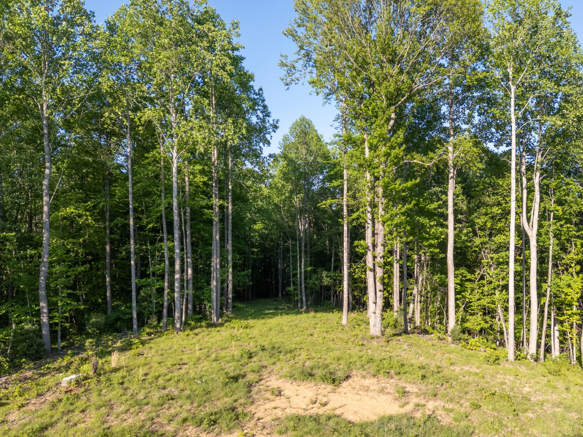 65 Acres Dugspur Rd - Photo 55