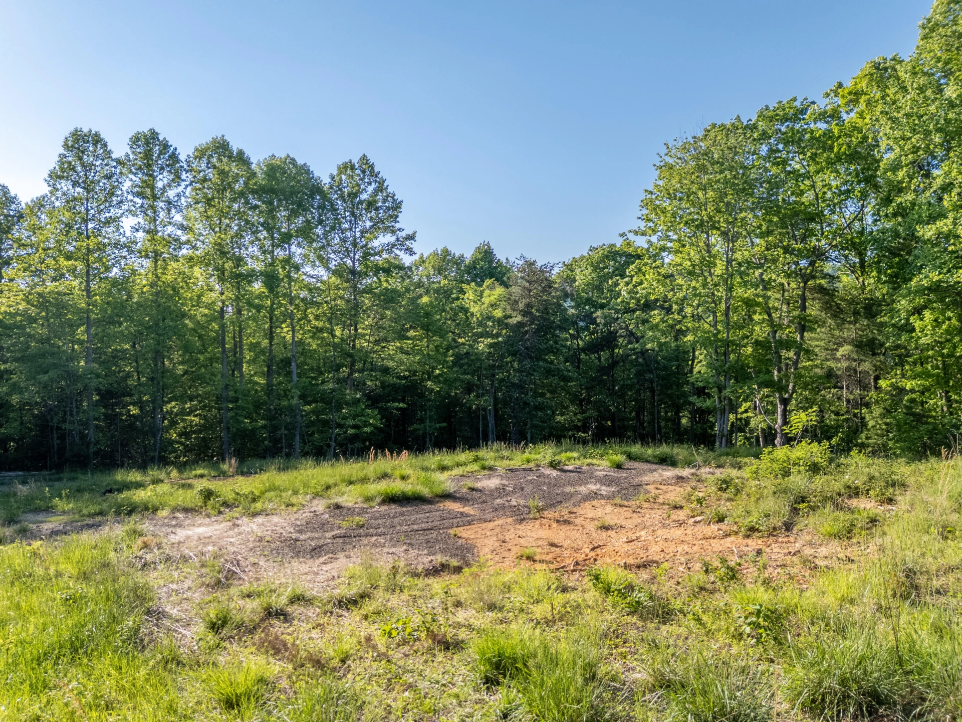 65 Acres Dugspur Rd - Photo 56