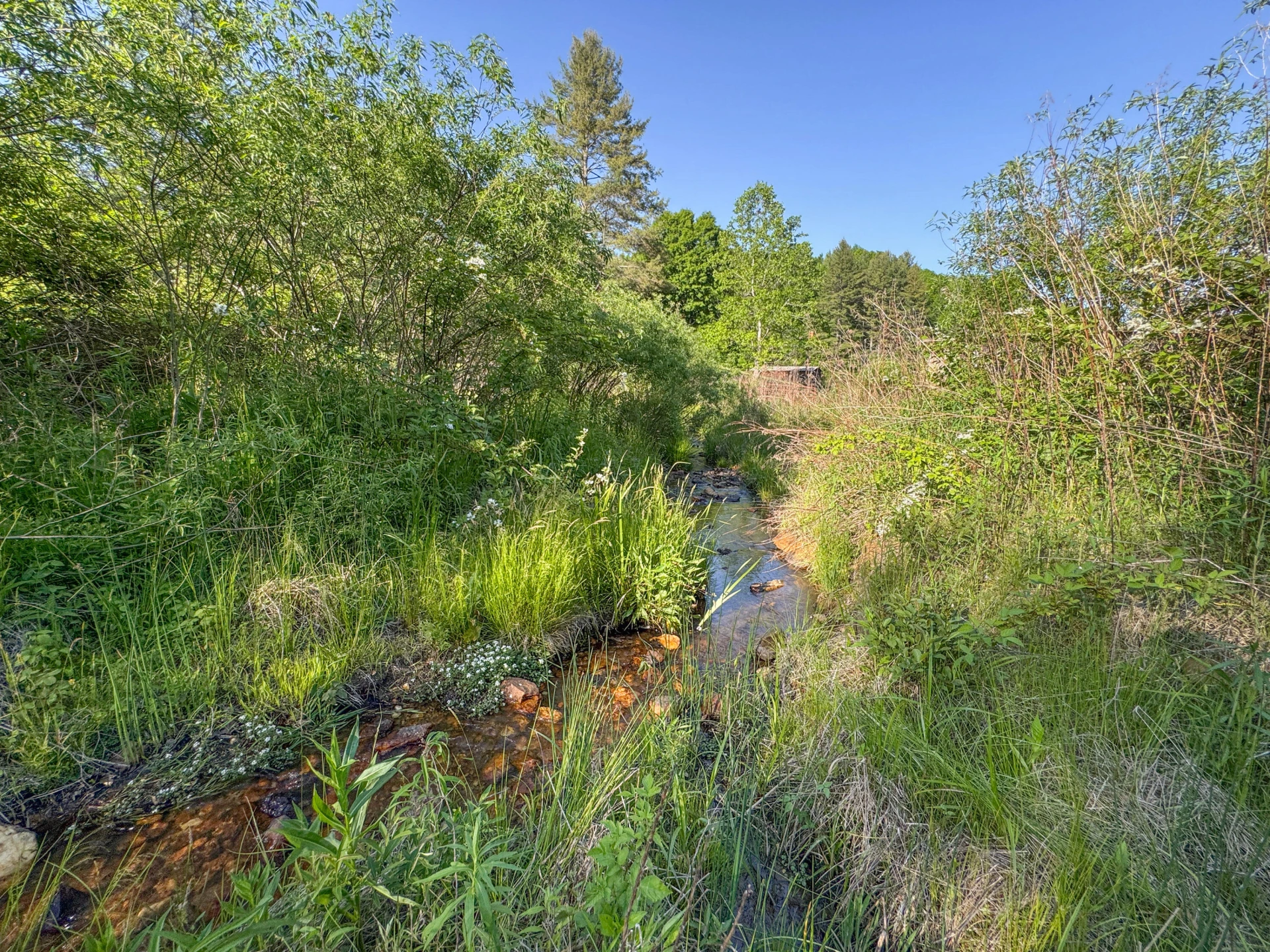 65 Acres Dugspur Rd - Photo 57