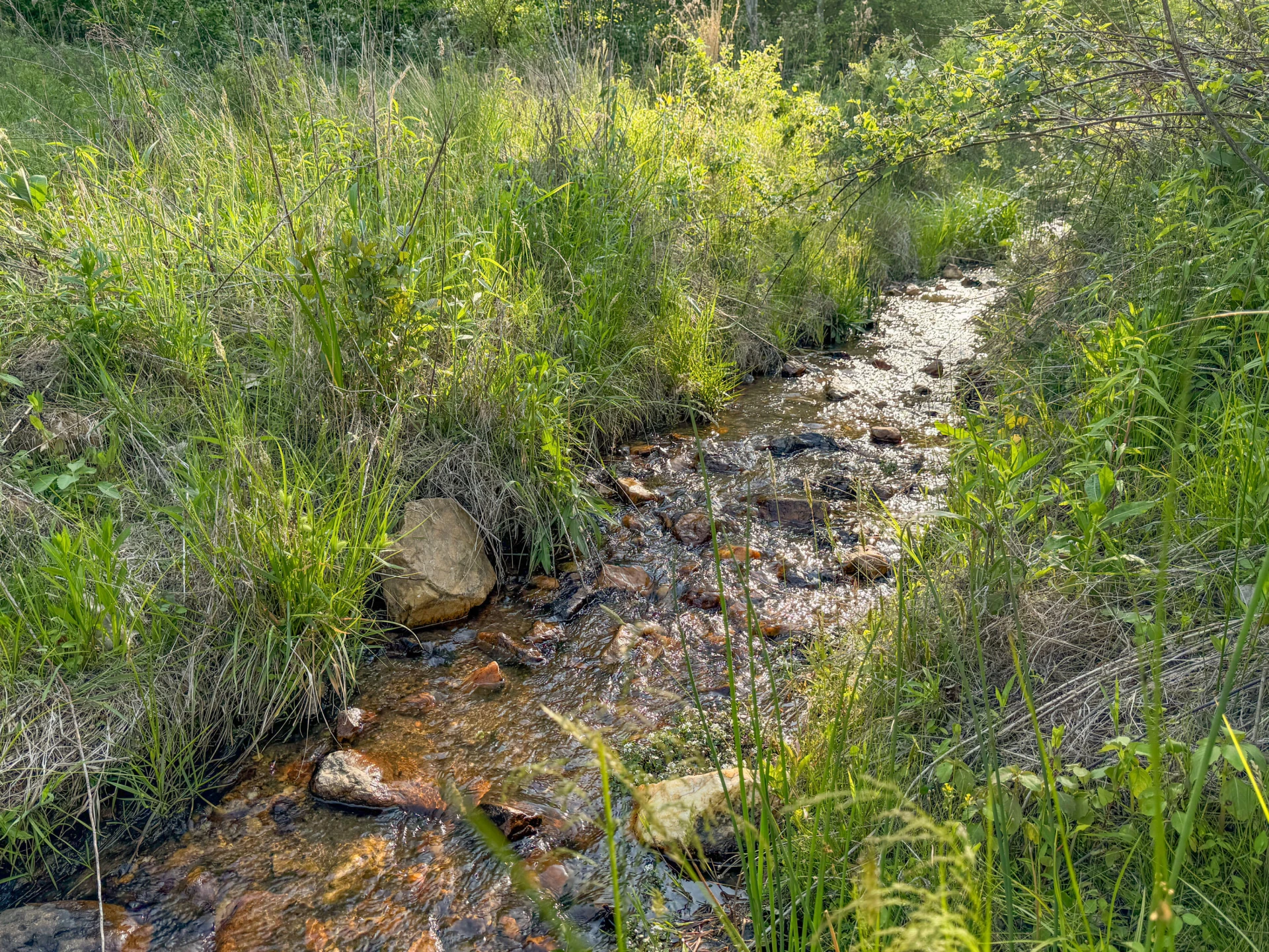65 Acres Dugspur Rd - Photo 59
